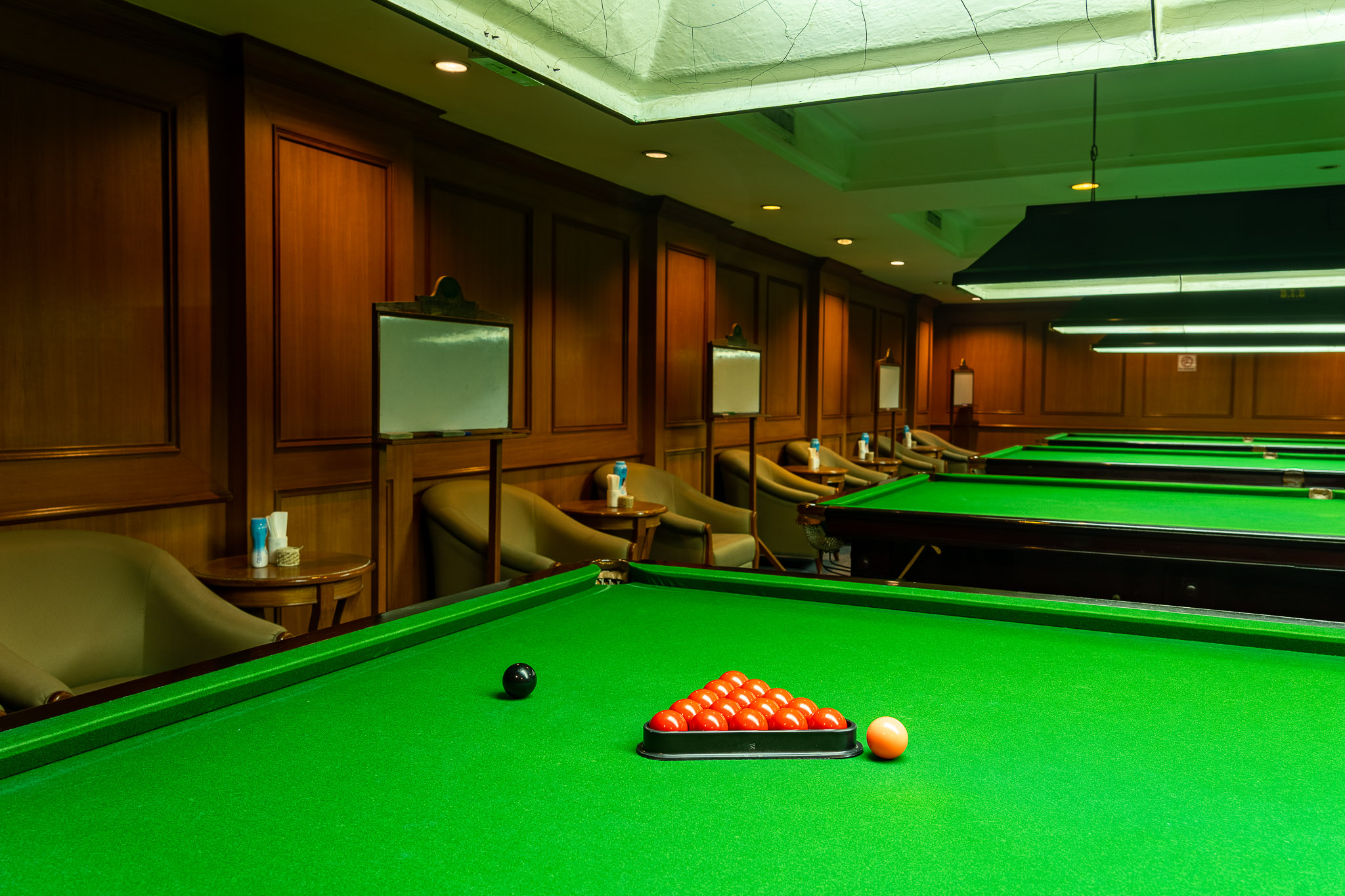 Sports and Entertainment