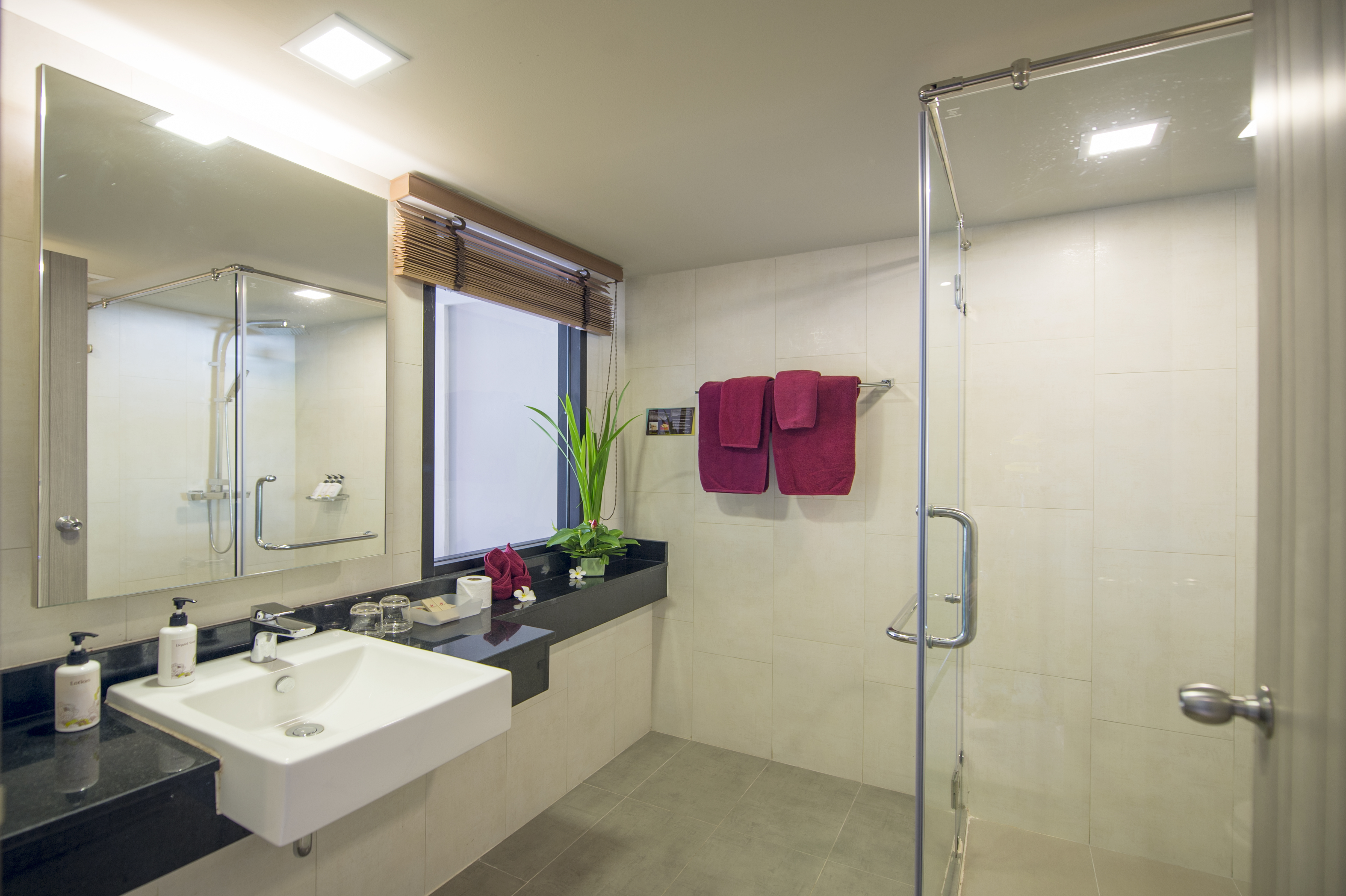 Double or Twin Premier