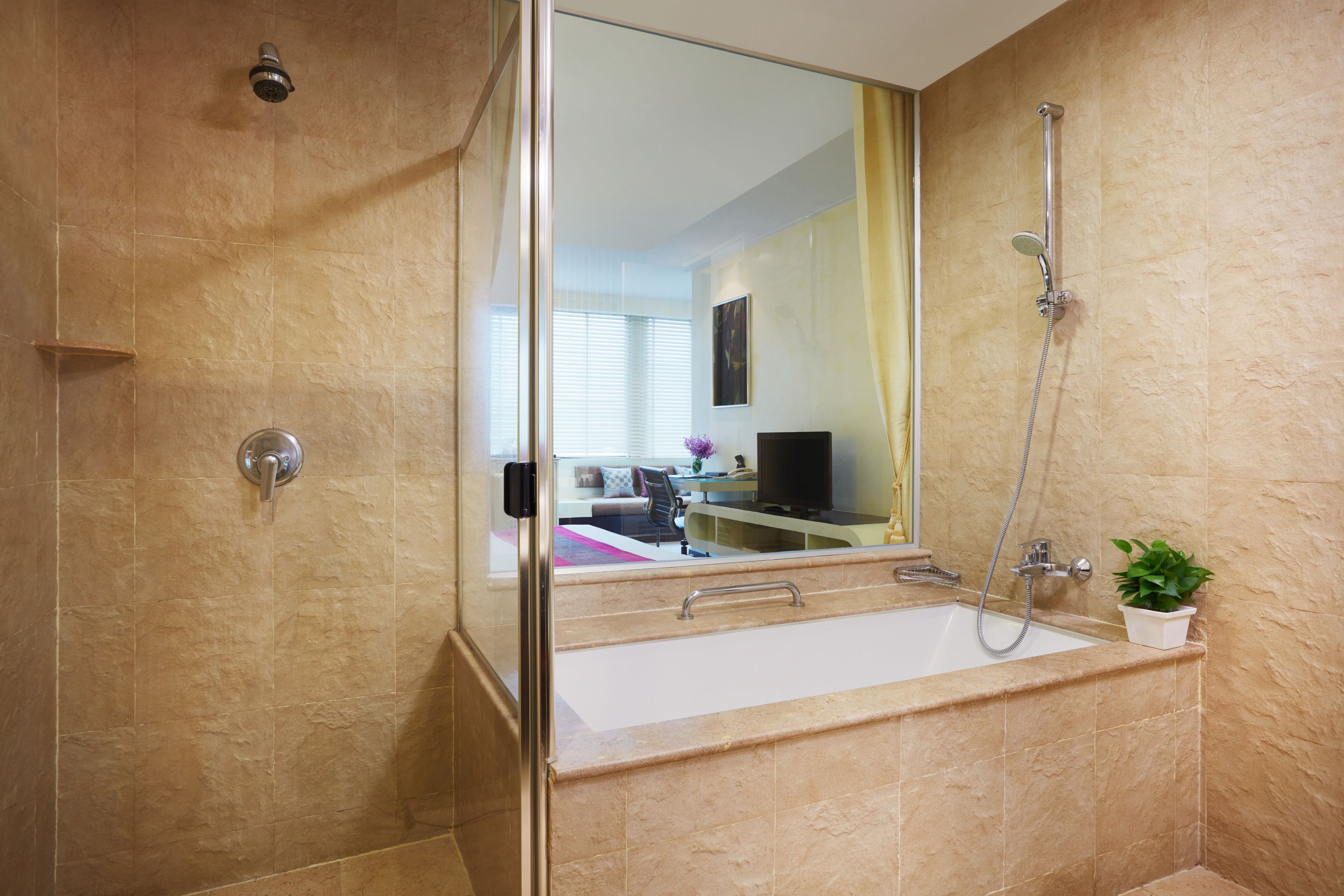 Double or Twin Standard