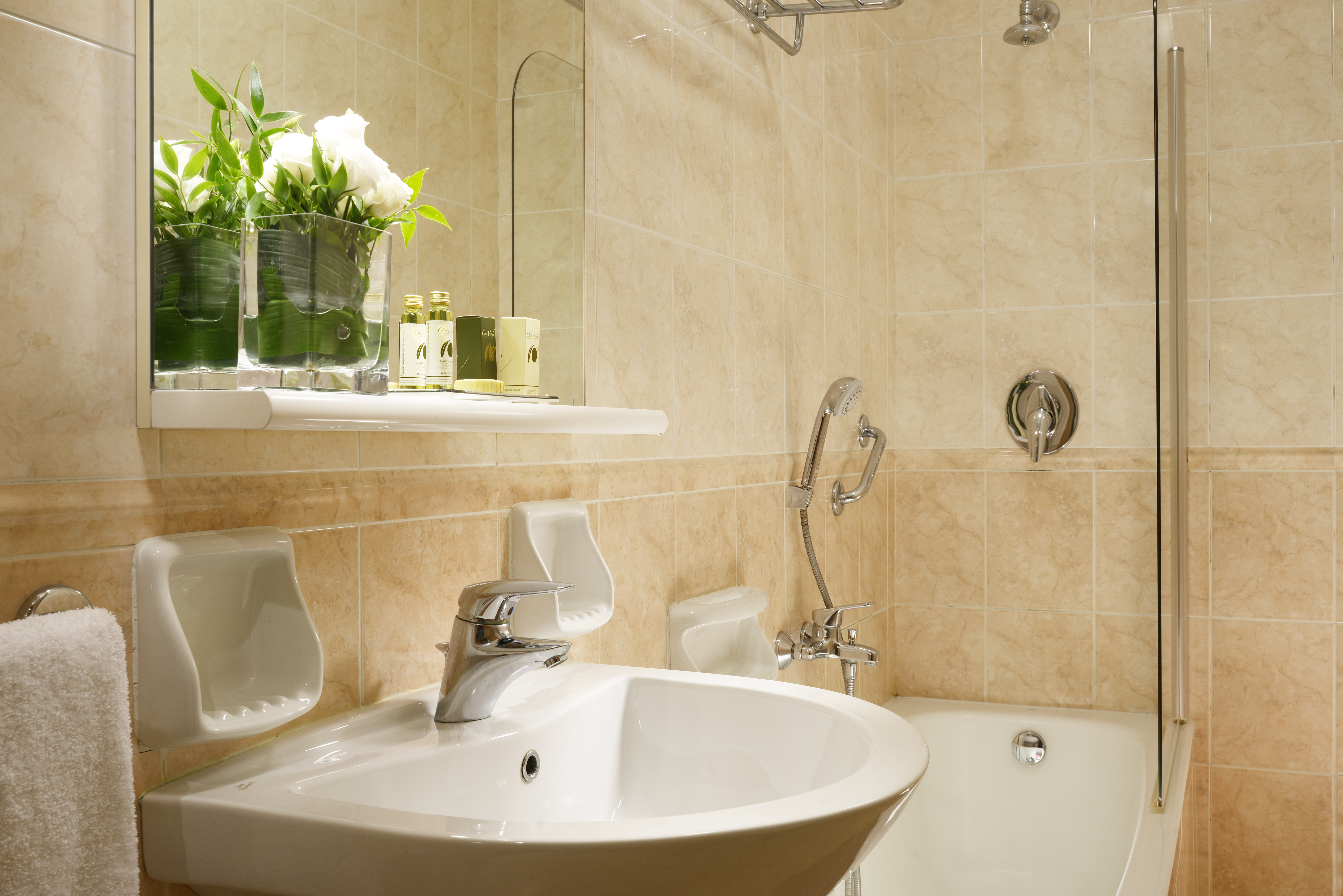 Double or Twin Standard