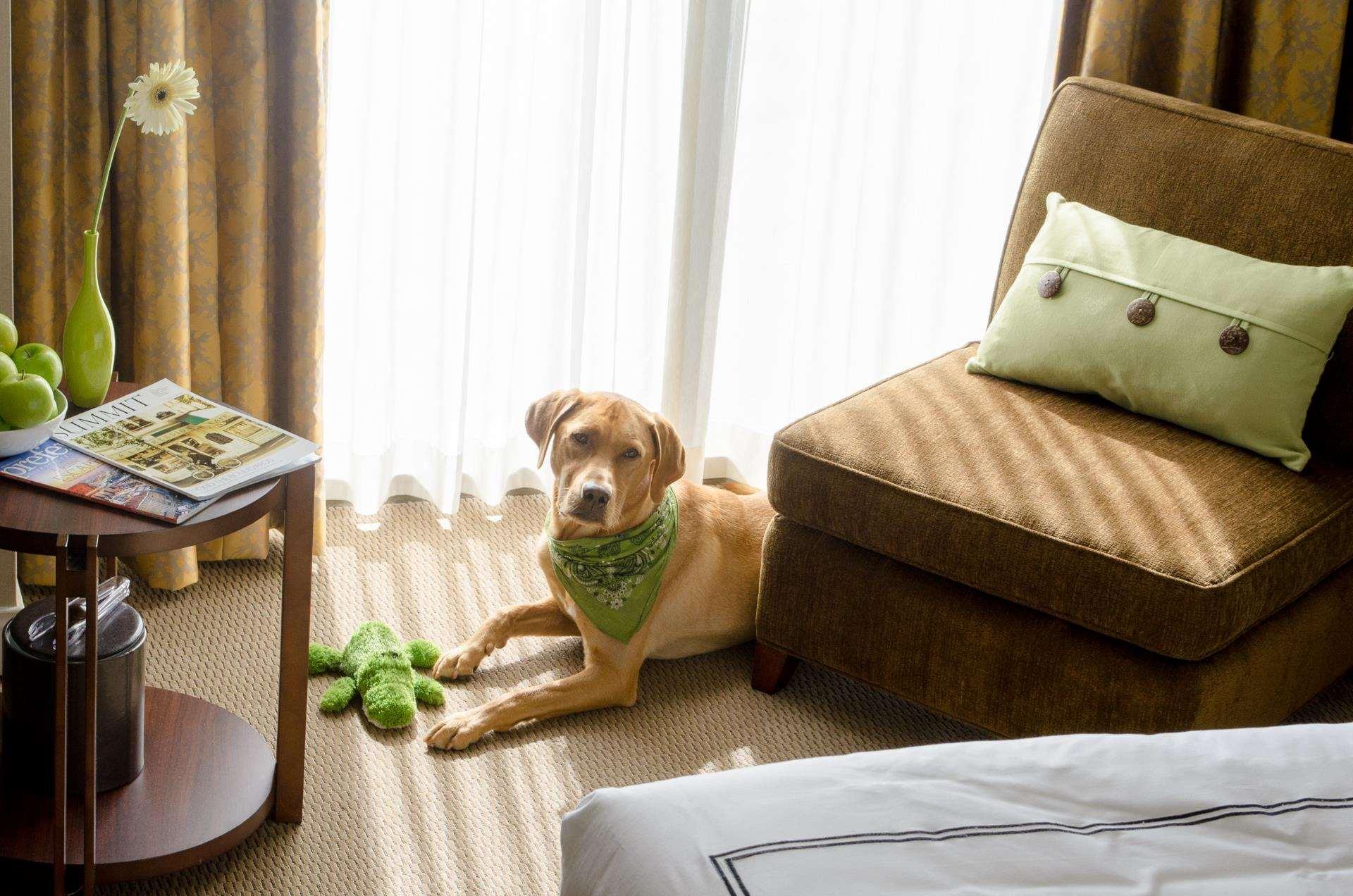 Double Deluxe King Bed