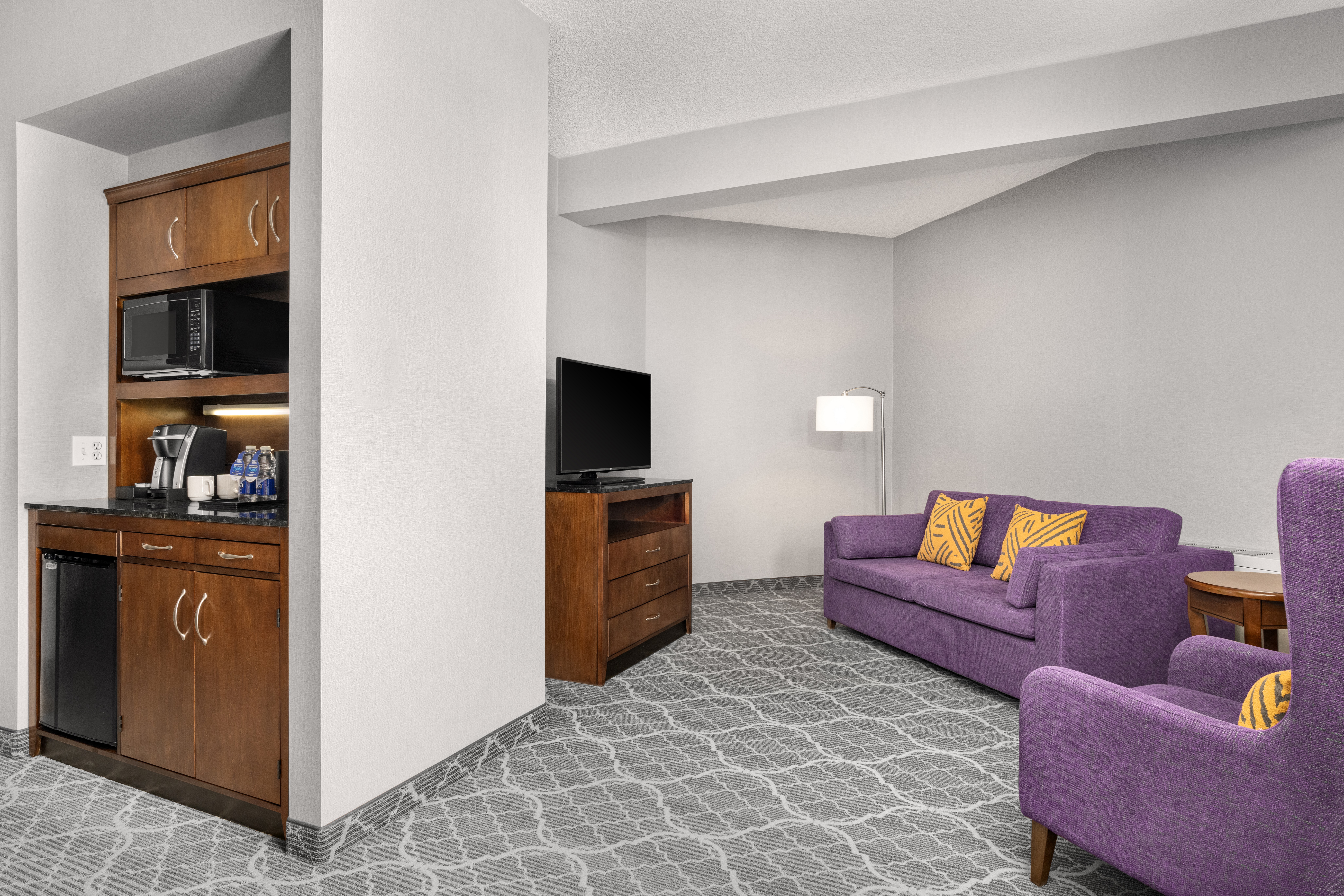 Suite King Bed One Bedroom 