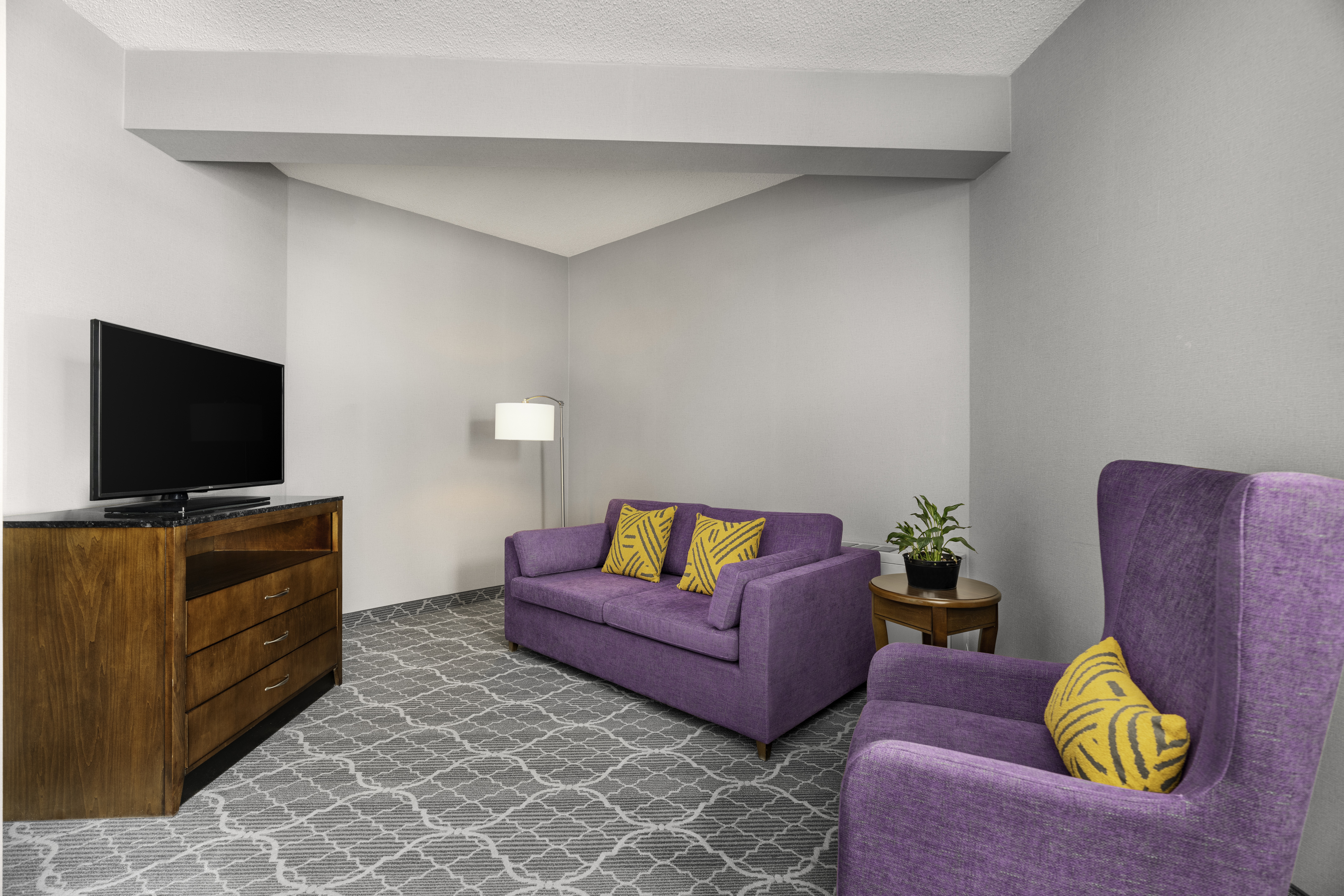 Suite King Bed One Bedroom 