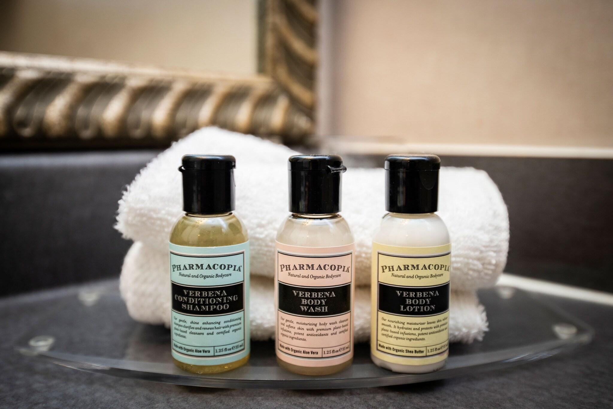 Suite City View Queen Bed