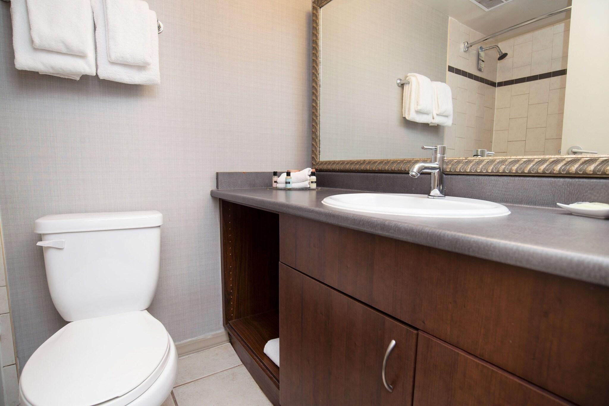 Suite City View Queen Bed