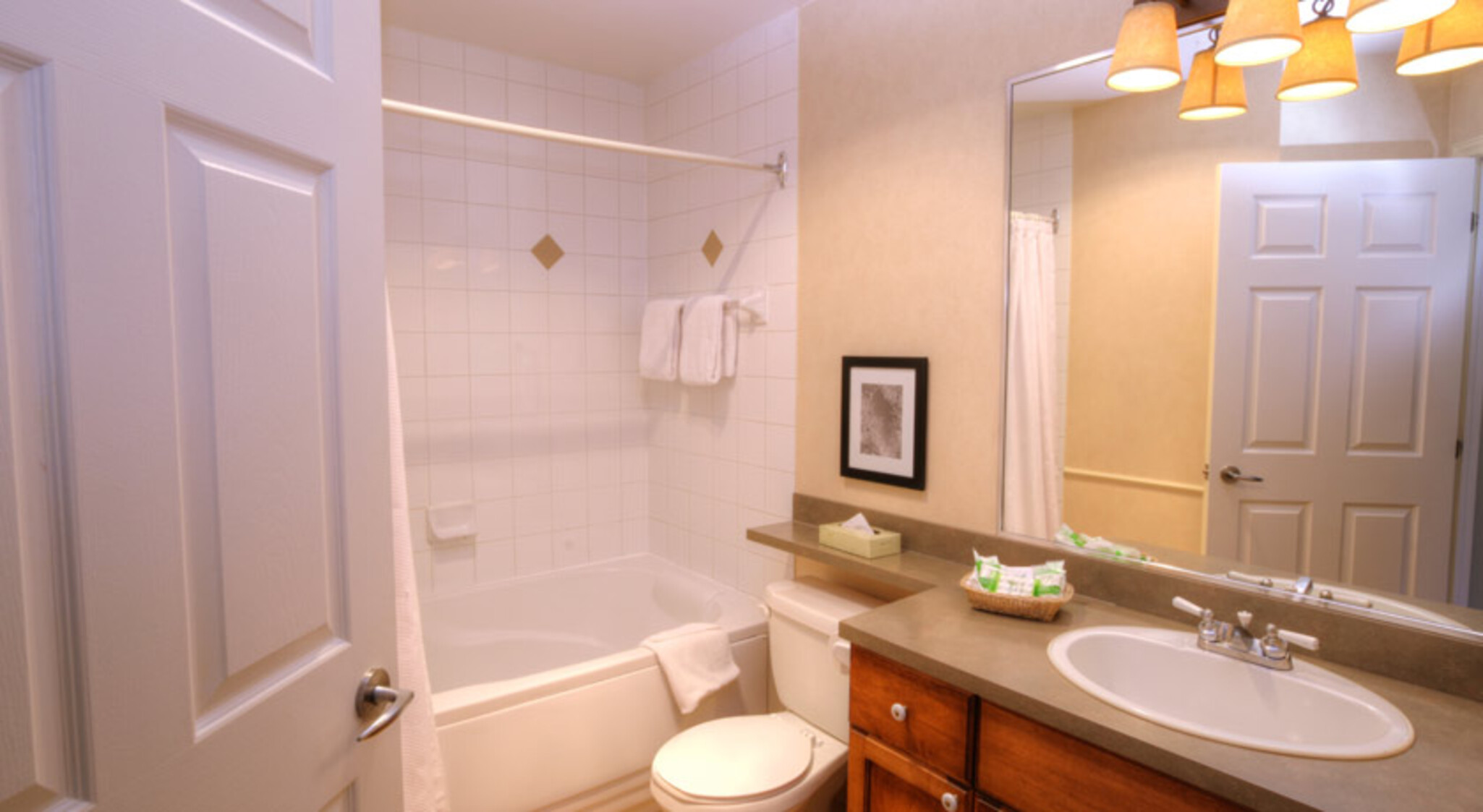 Suite One Bedroom One Bathroom