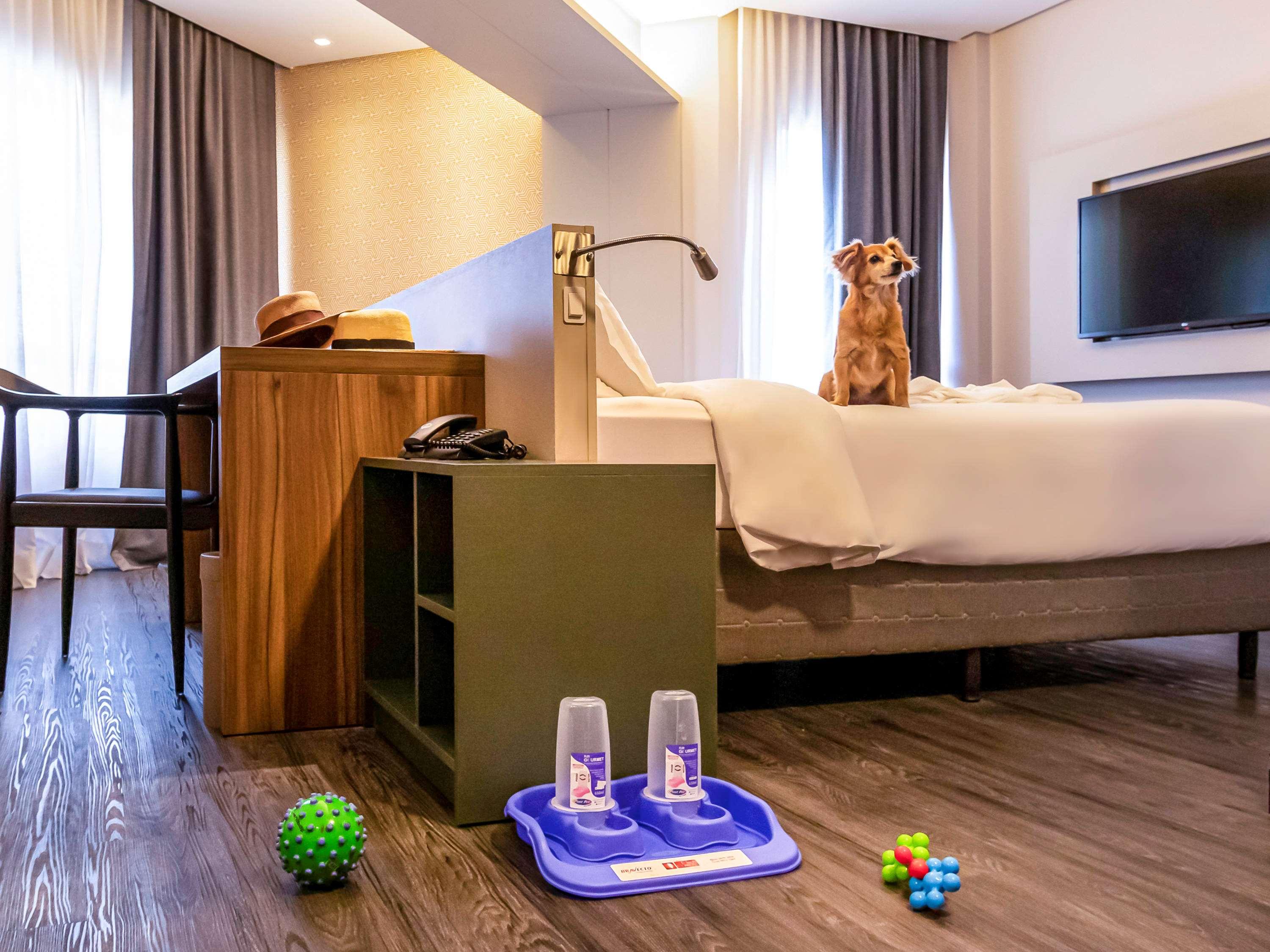 Suite Deluxe King Bed