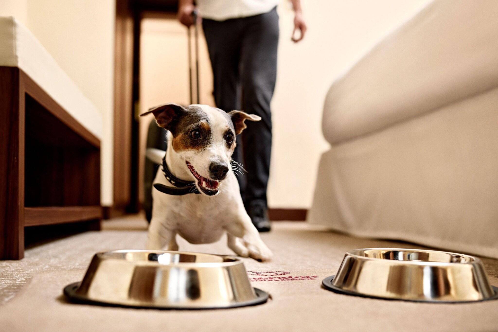 Double Executive King Bed