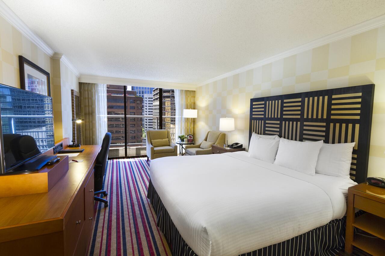 Double City View King Bed