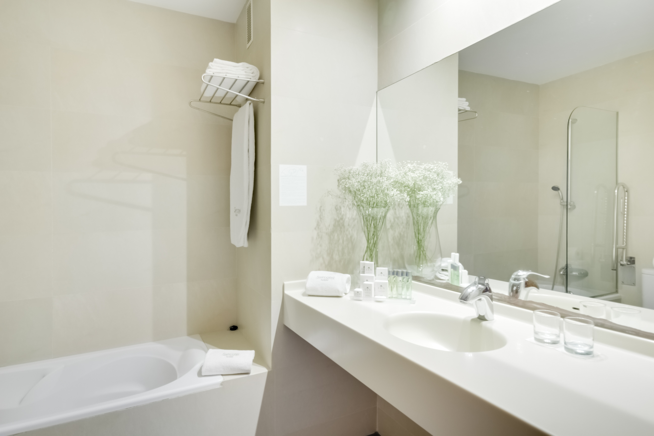 Double or Twin Economy