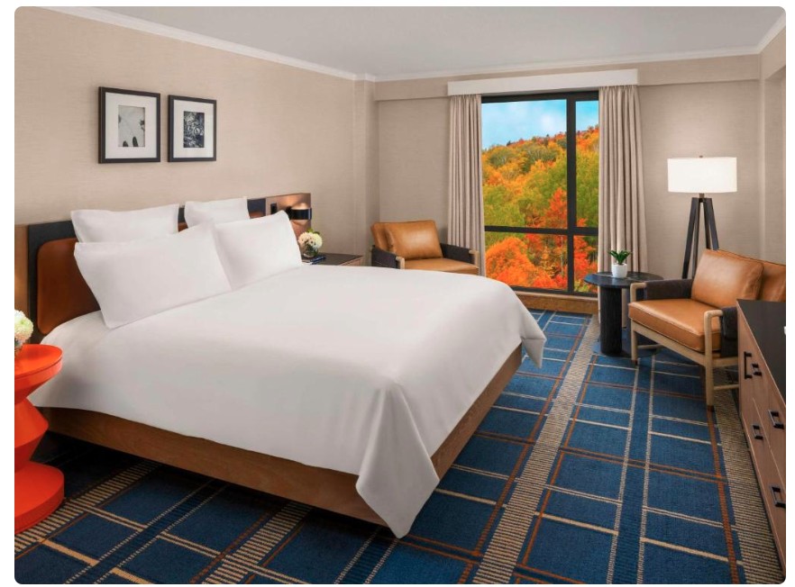 Double Deluxe King Bed