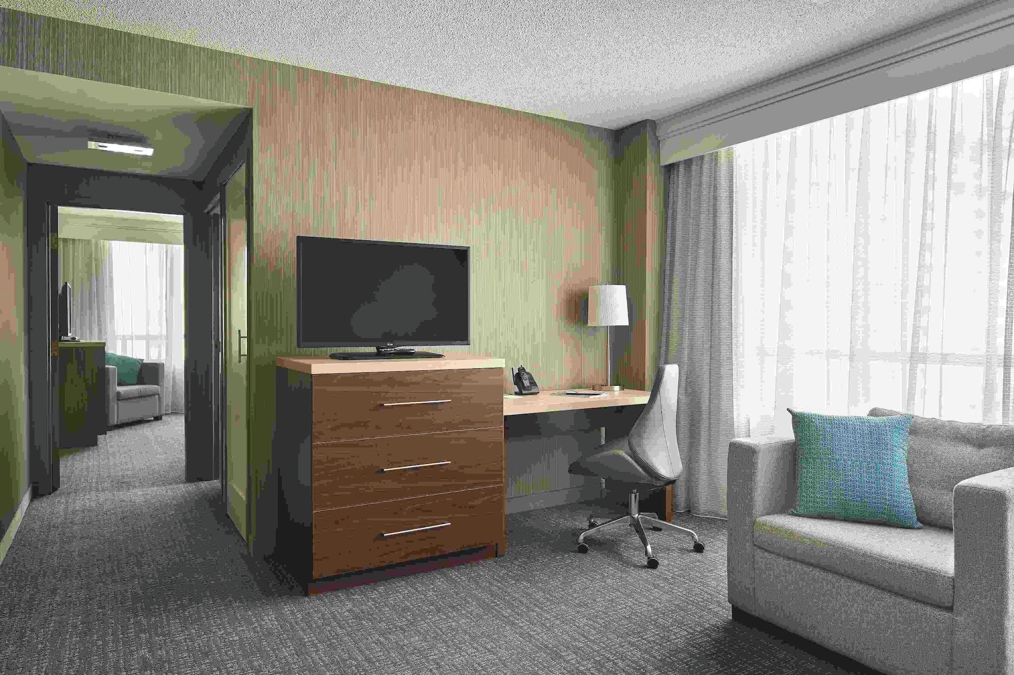 Suite King Bed One Bedroom 