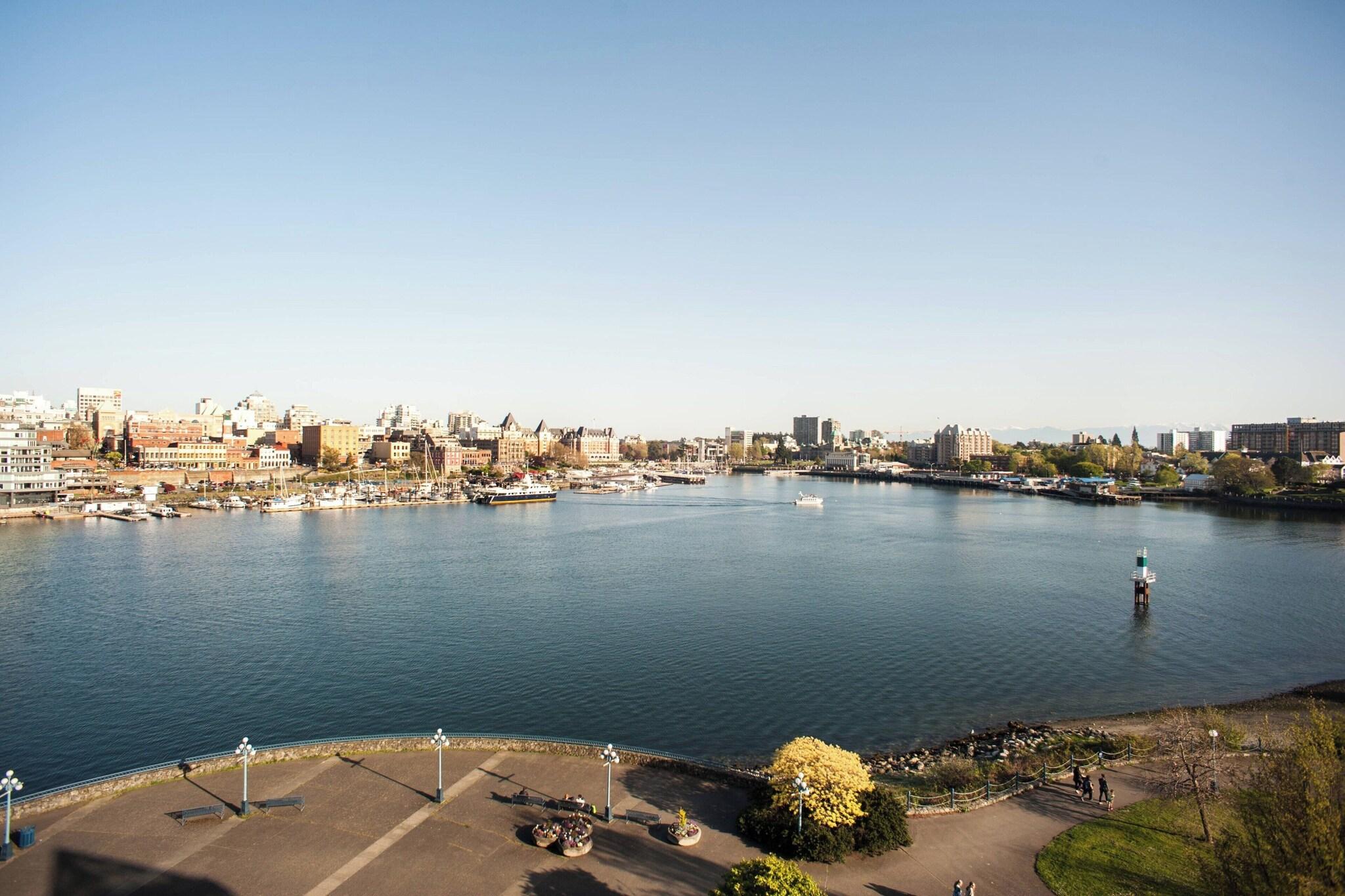 Quadruple Club Ocean View