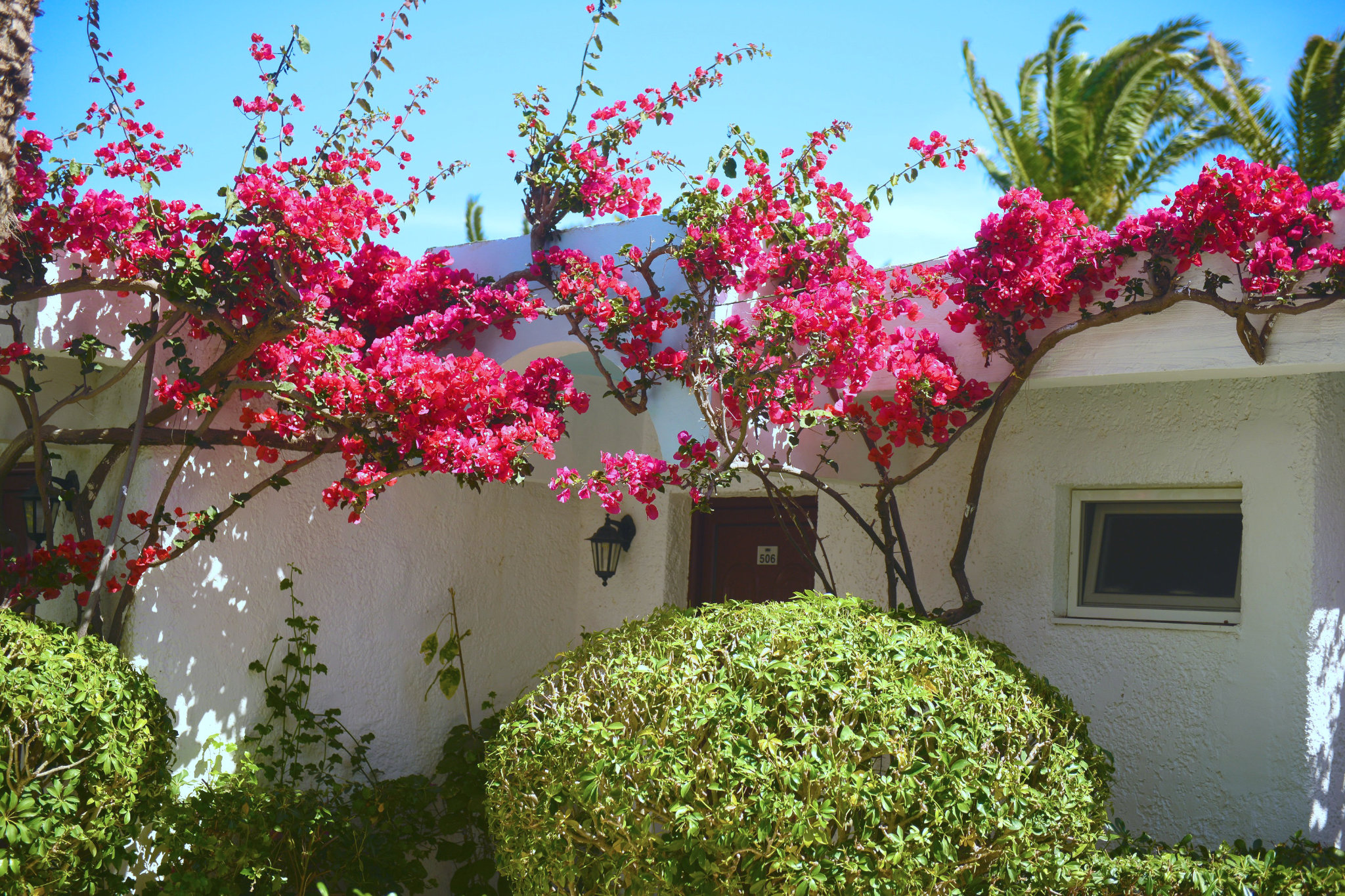 Bungalow Superior Garden View