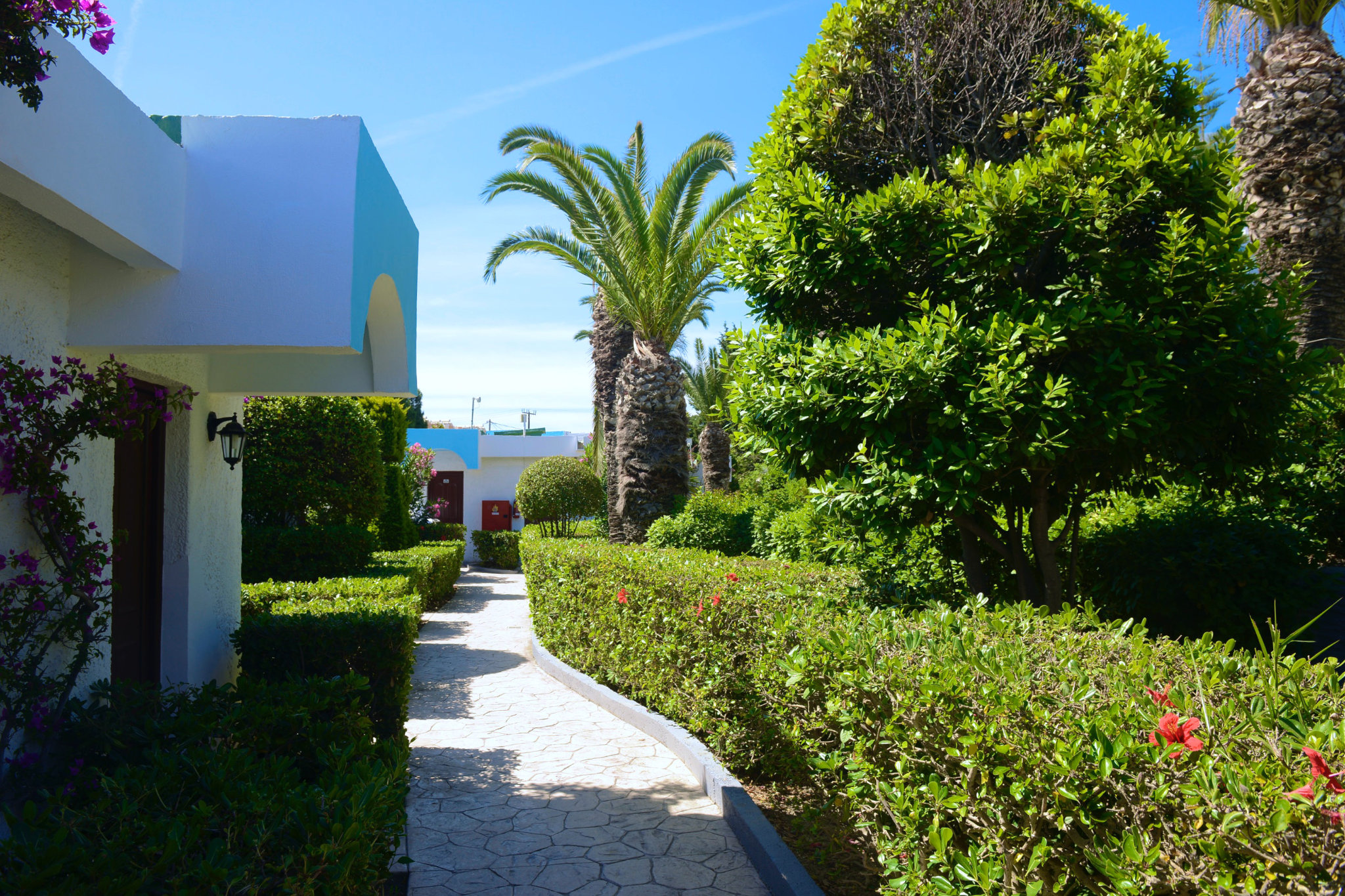 Bungalow Superior with Views