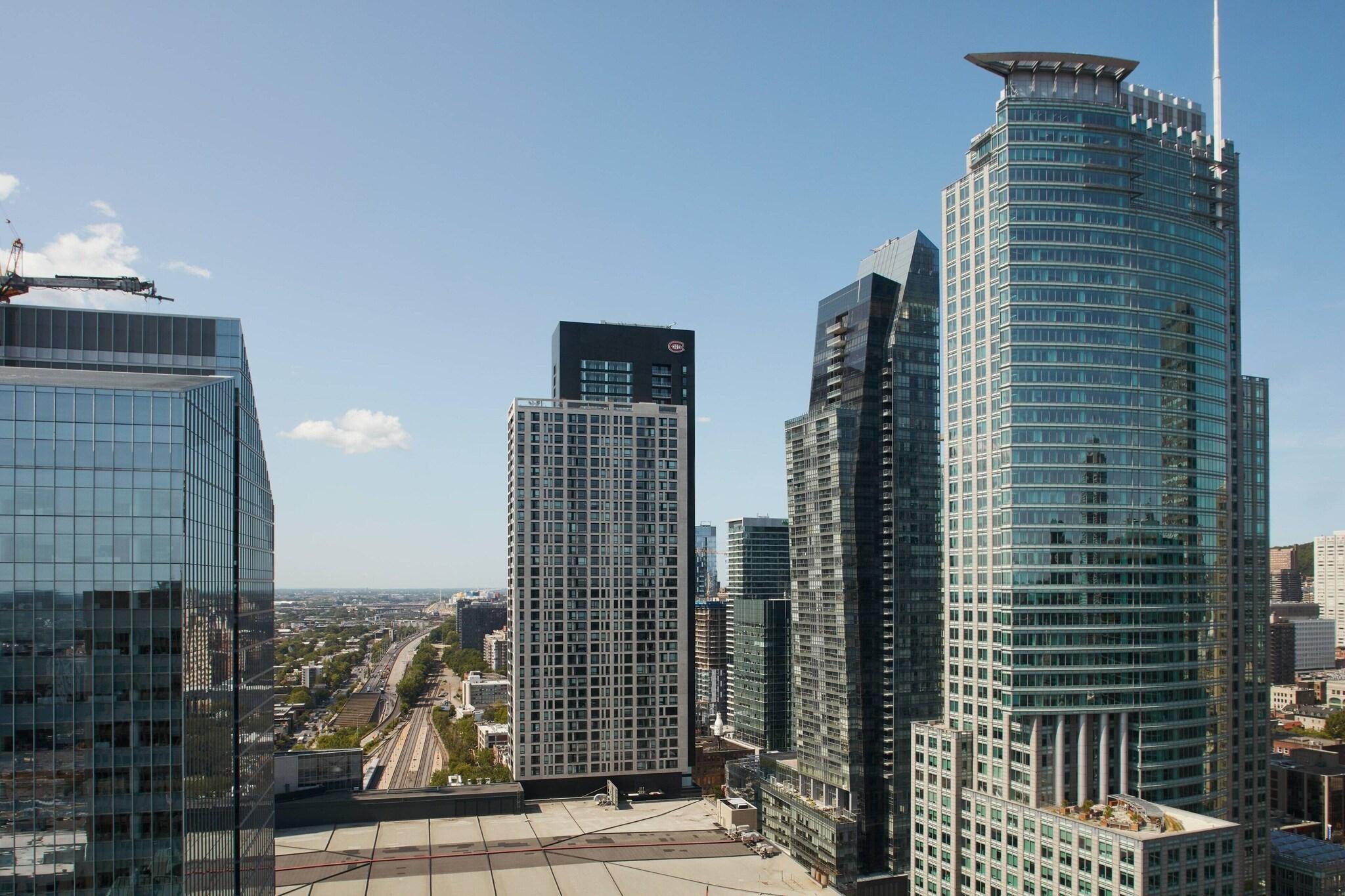 Double City View King Bed