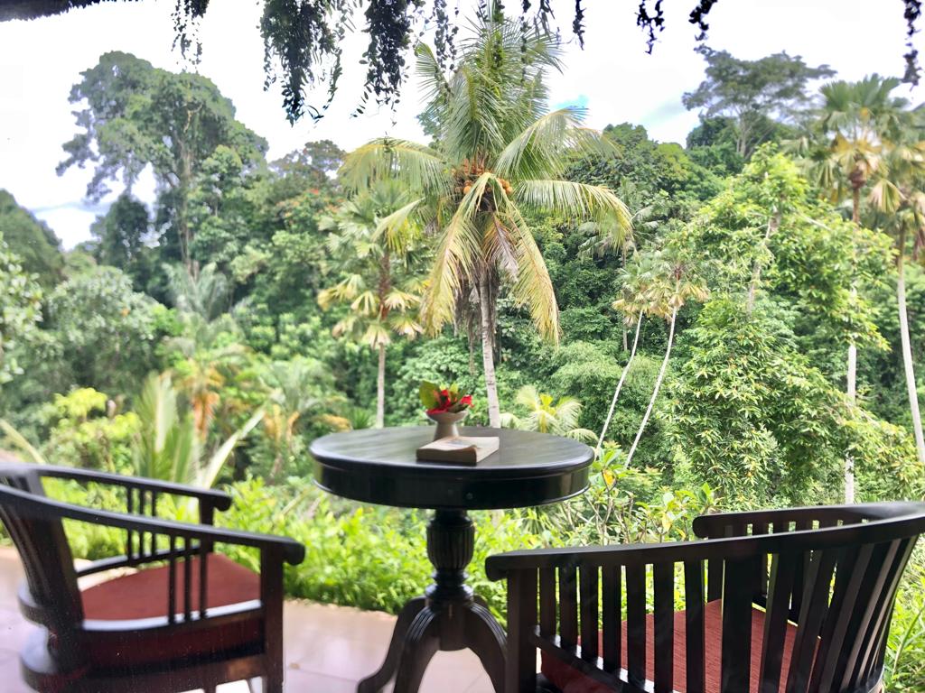 Double or Twin Deluxe