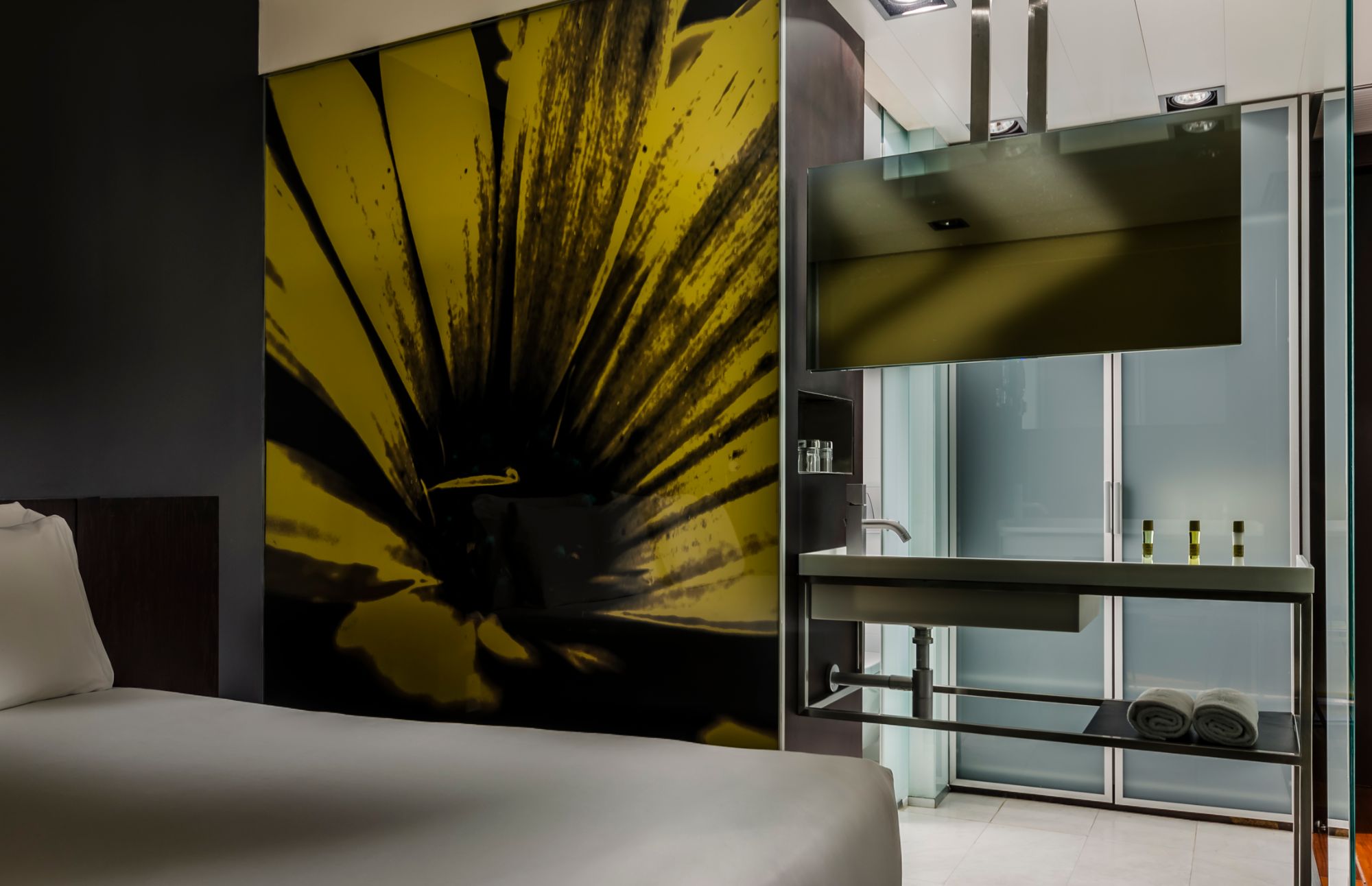 Double or Twin Economy