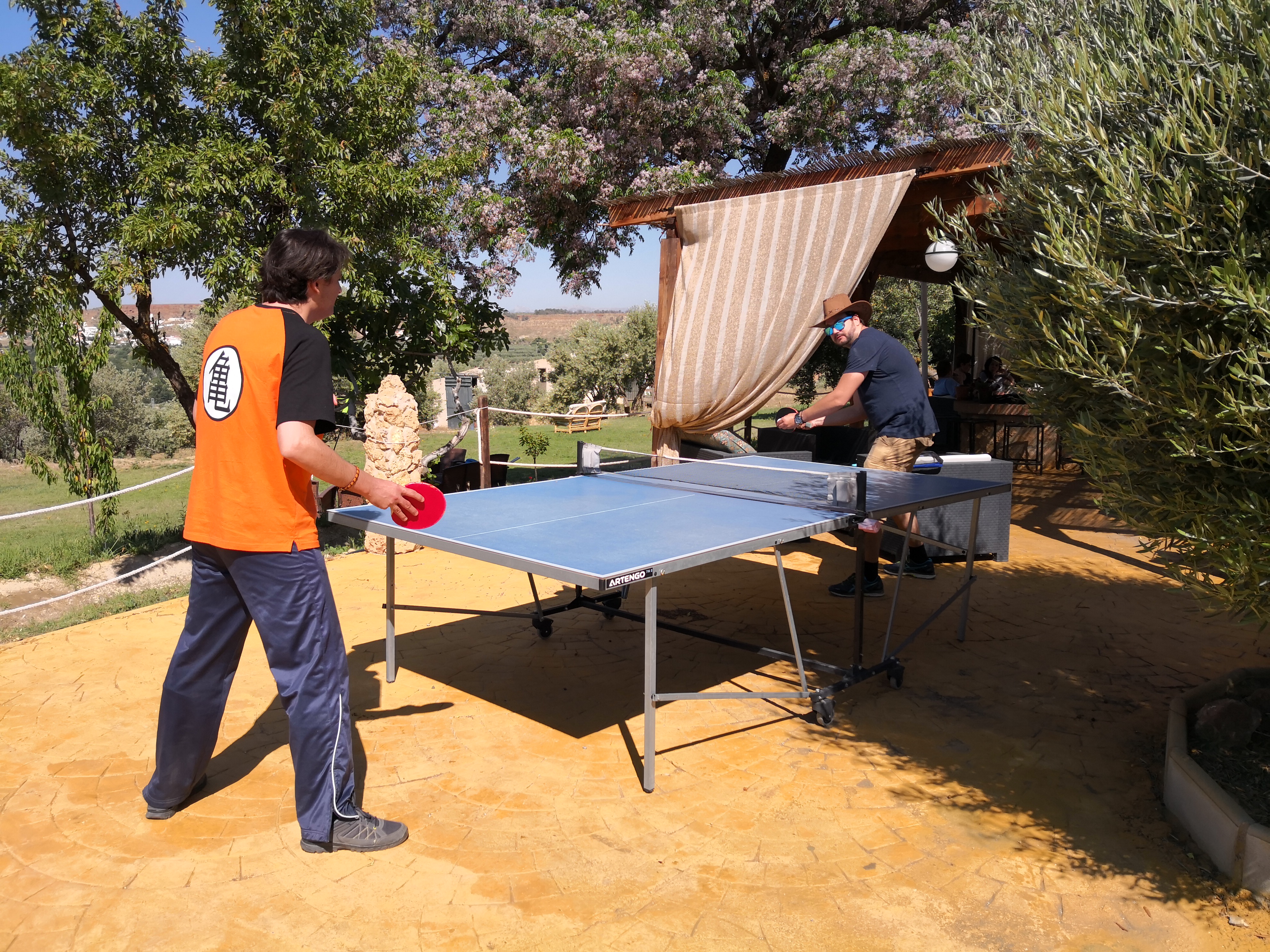 Sports and Entertainment