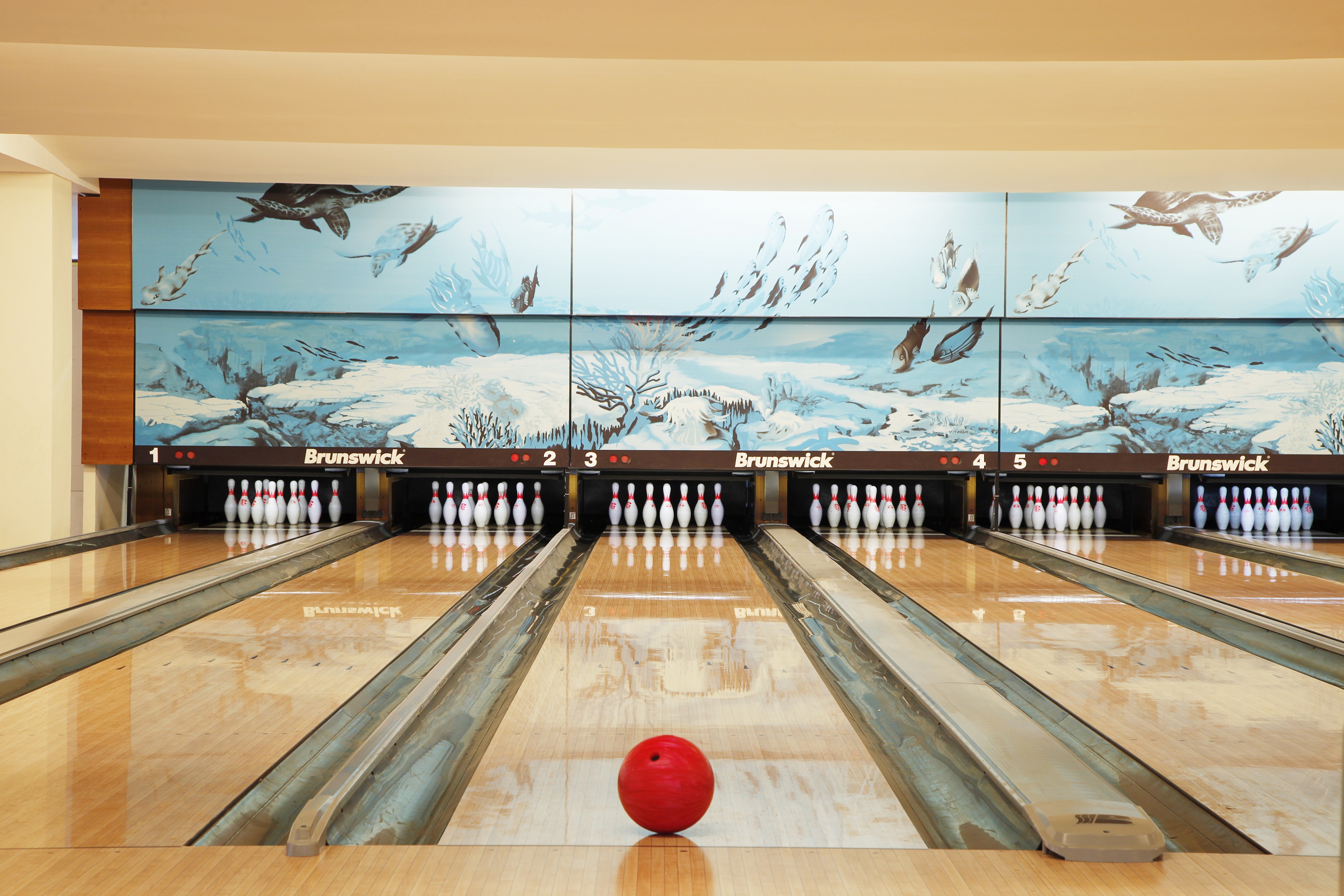 Sports and Entertainment