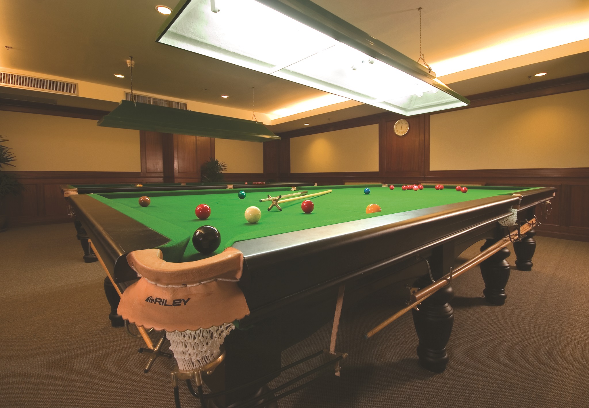 Sports and Entertainment