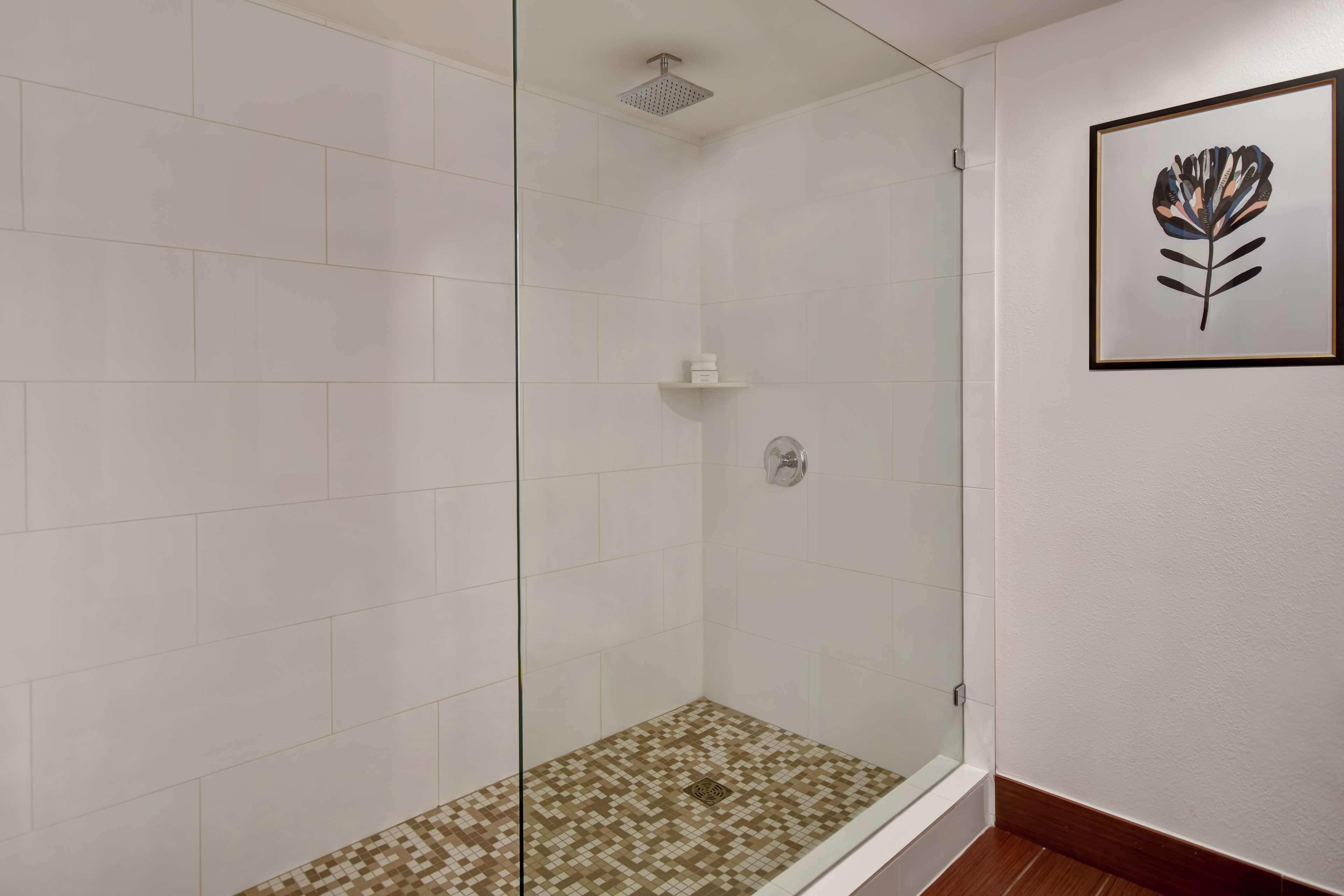 Suite King Bed One Bedroom 