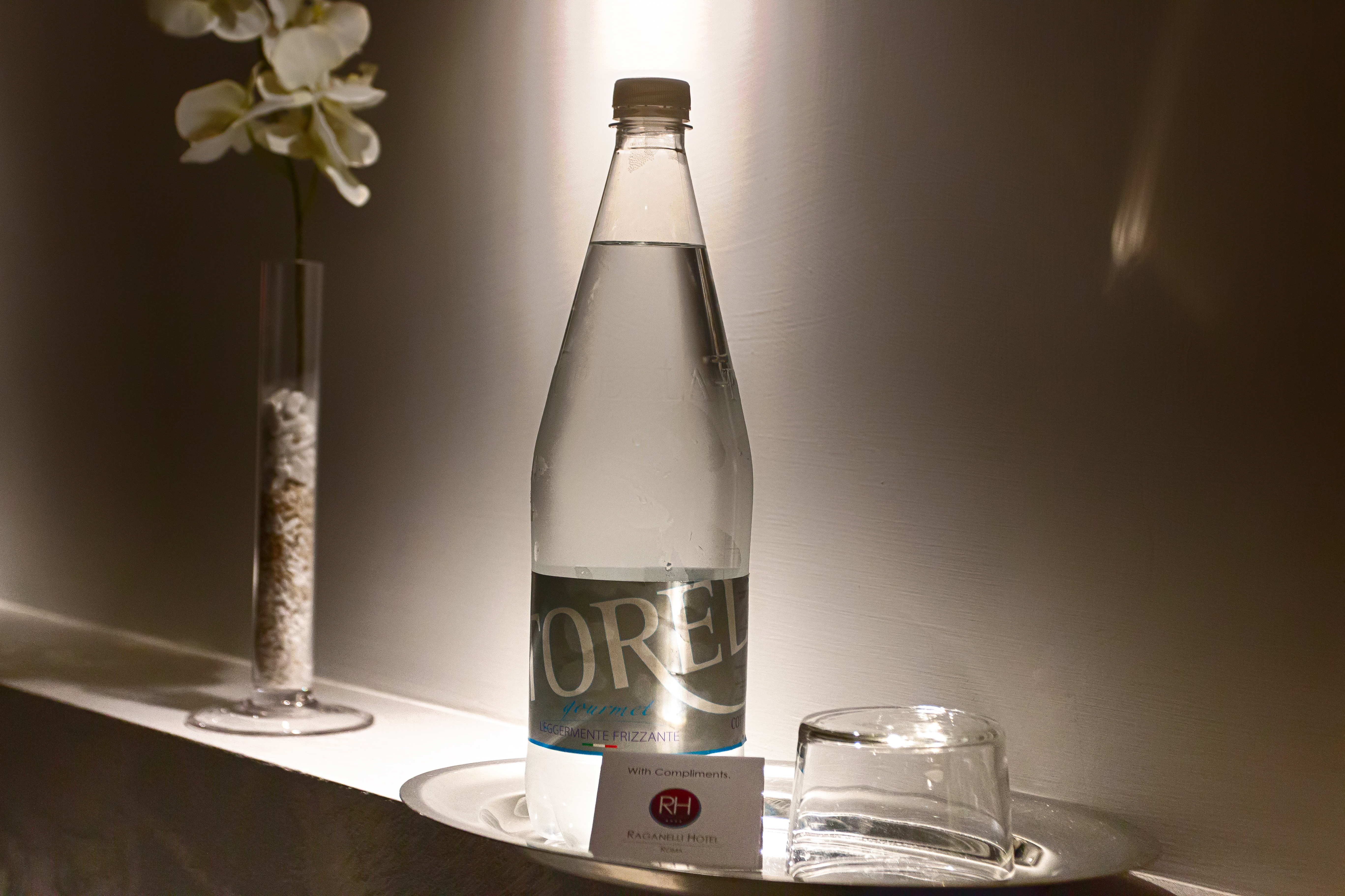 Junior Suite with Terrace