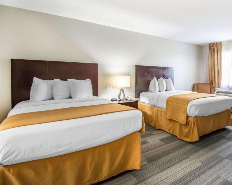 Suite Two Queen Beds