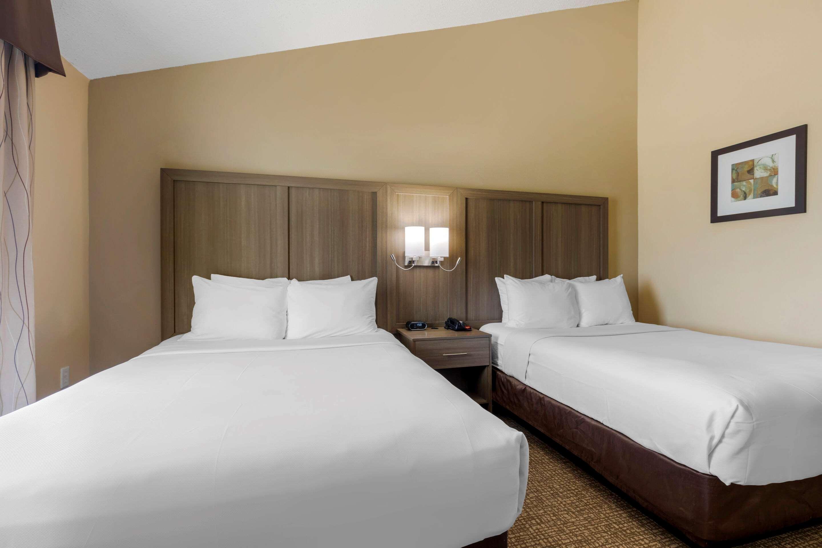 Suite Two Queen Beds Non Smoking