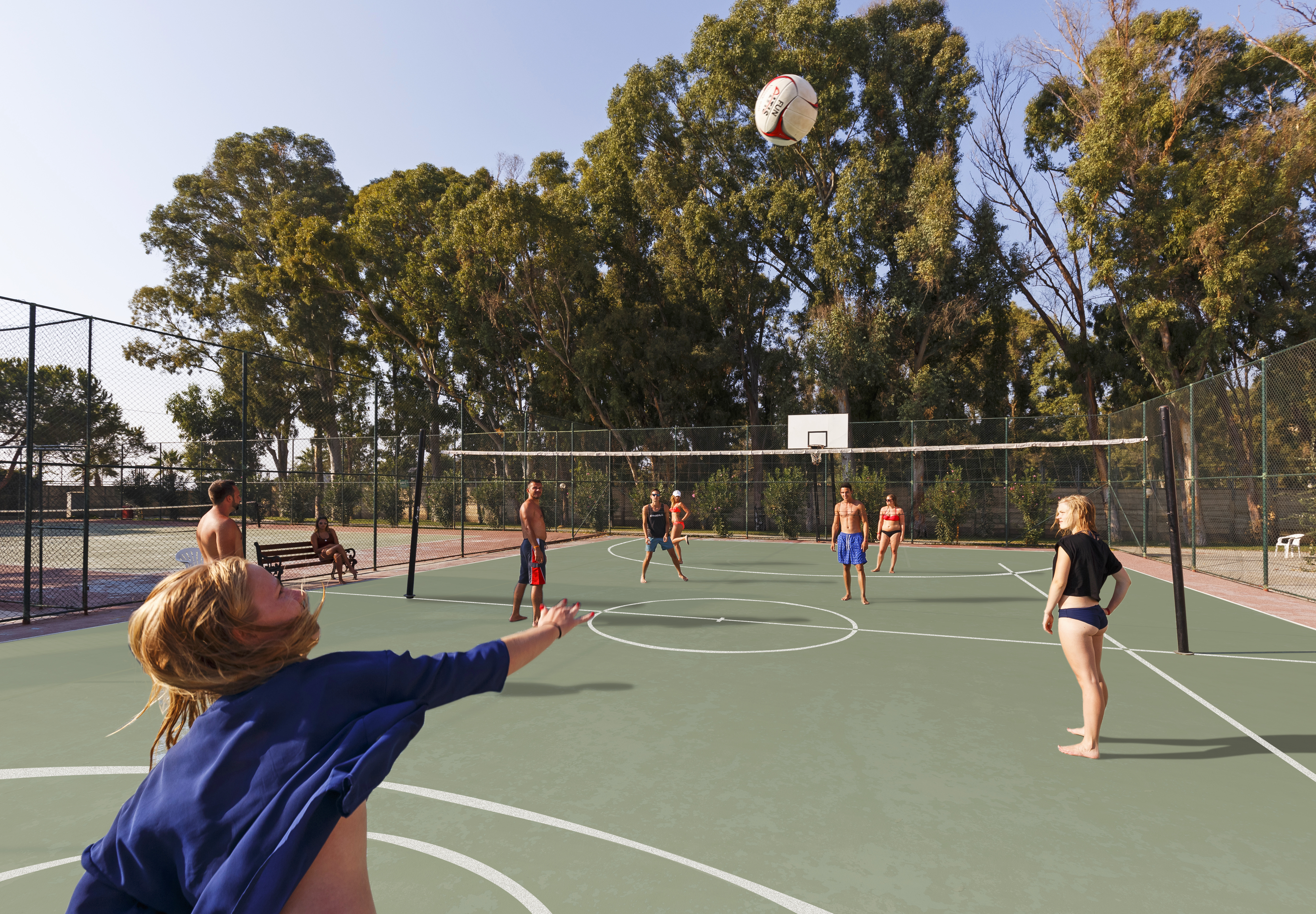 Sports and Entertainment