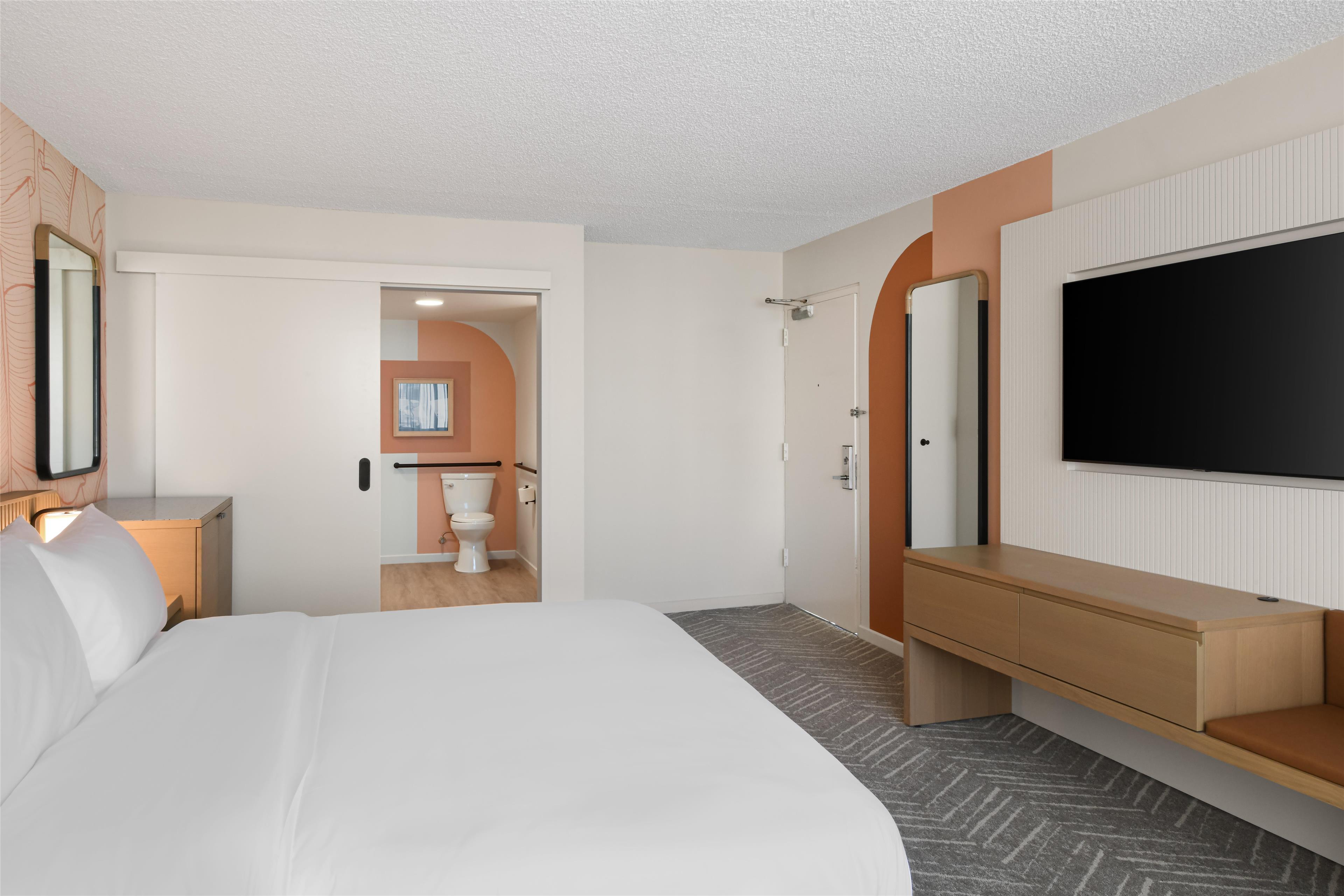 Suite King Bed One Bedroom 