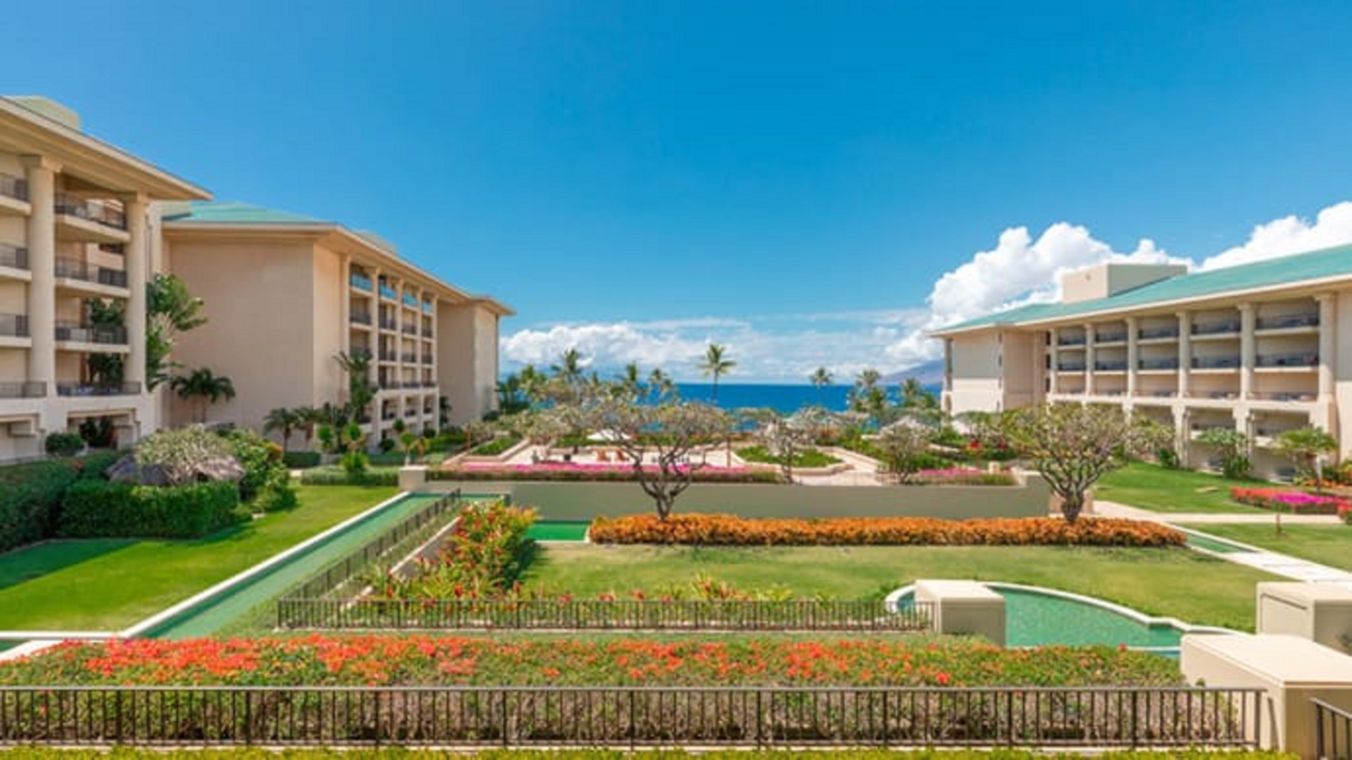 Suite Ocean View One Bedroom