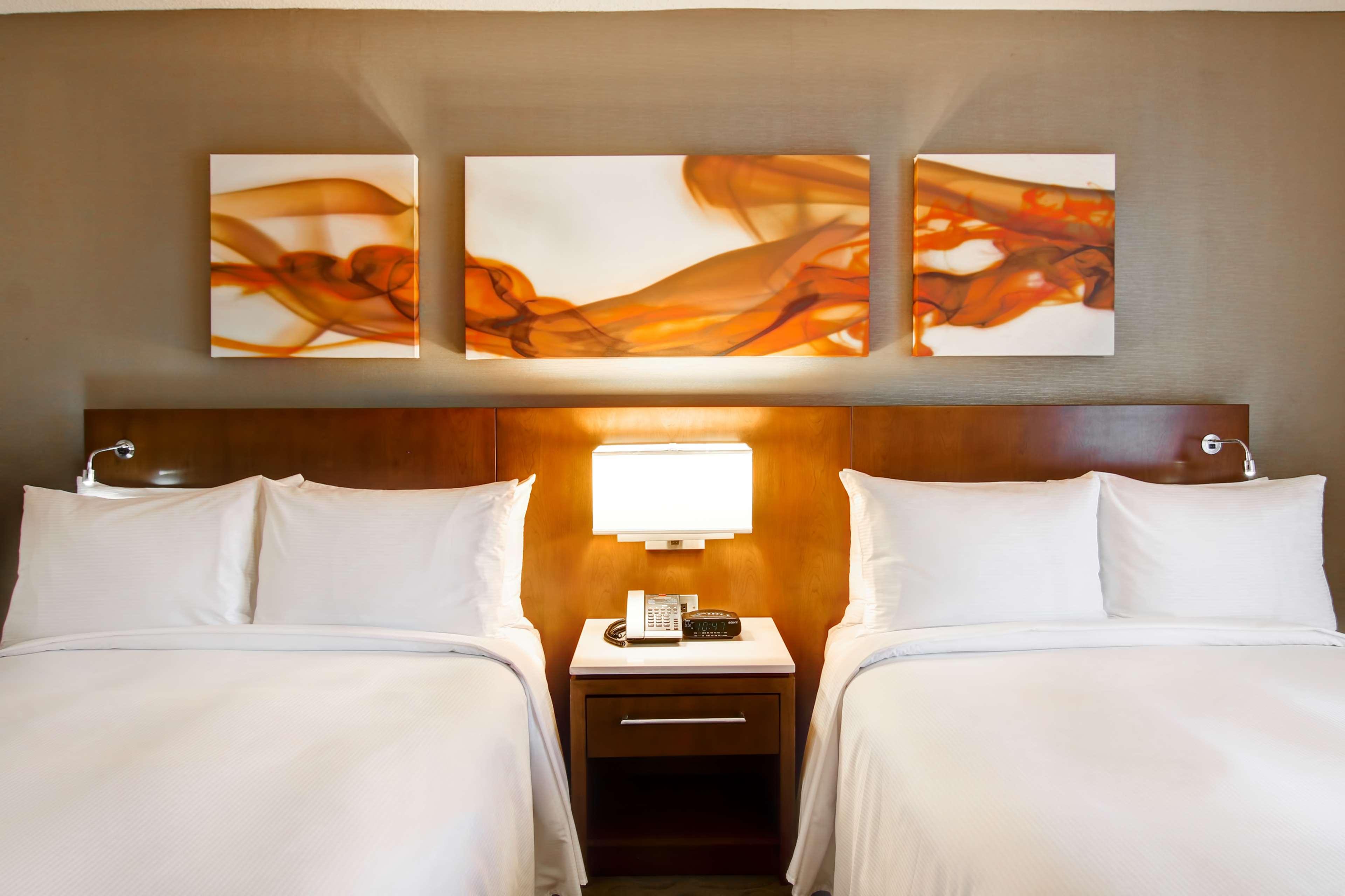 Double Two Queen Beds