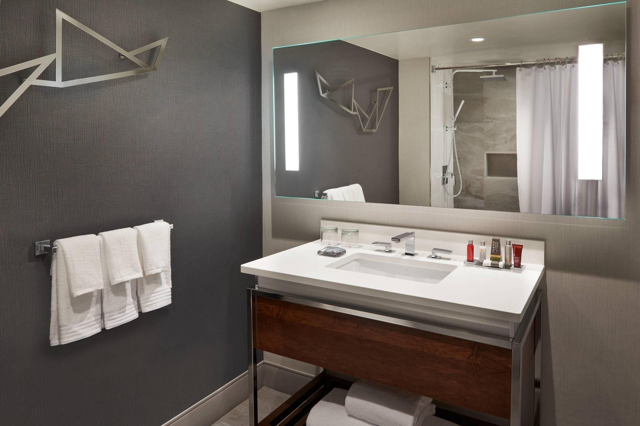 Suite King Bed One Bedroom 