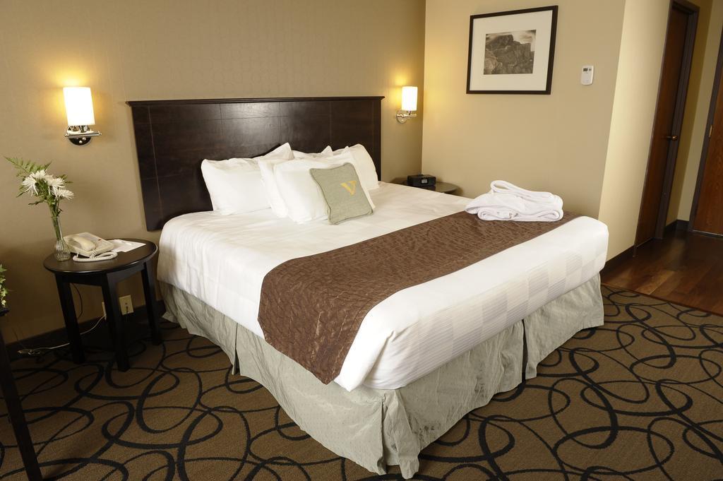 Room Business King Bed