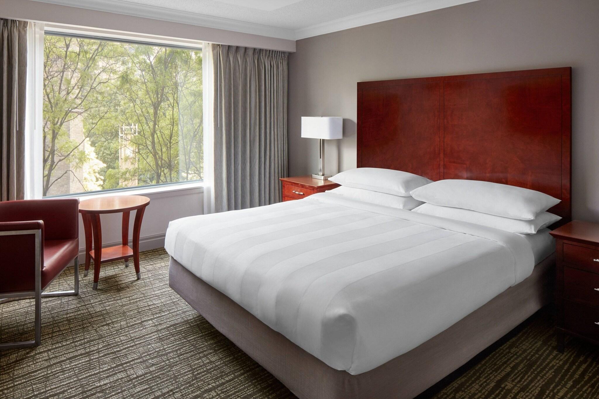 Suite King Bed One Bedroom 