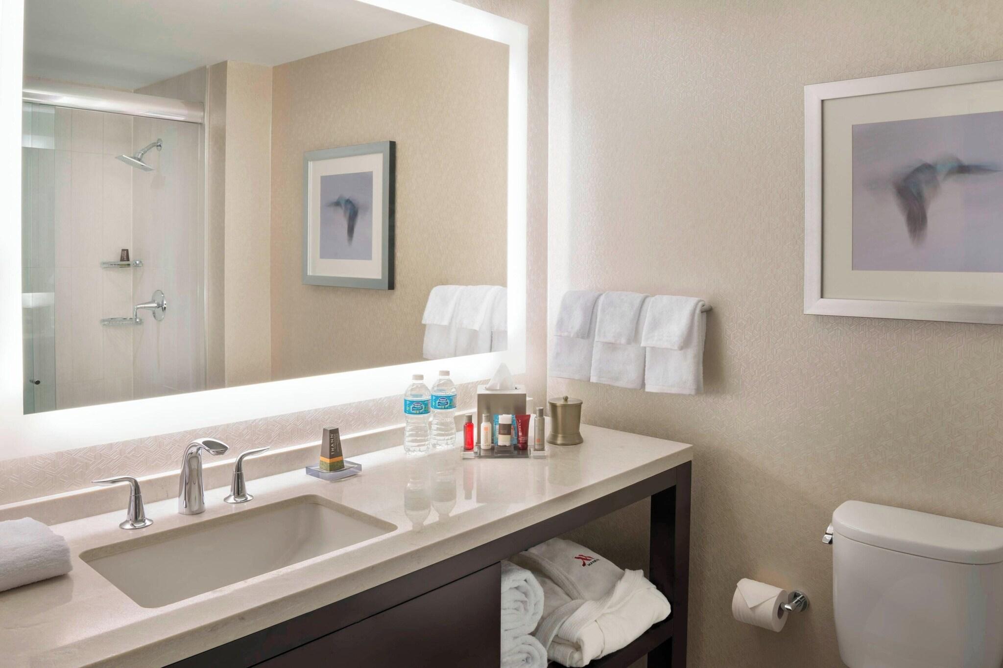 Suite King Bed One Bedroom 