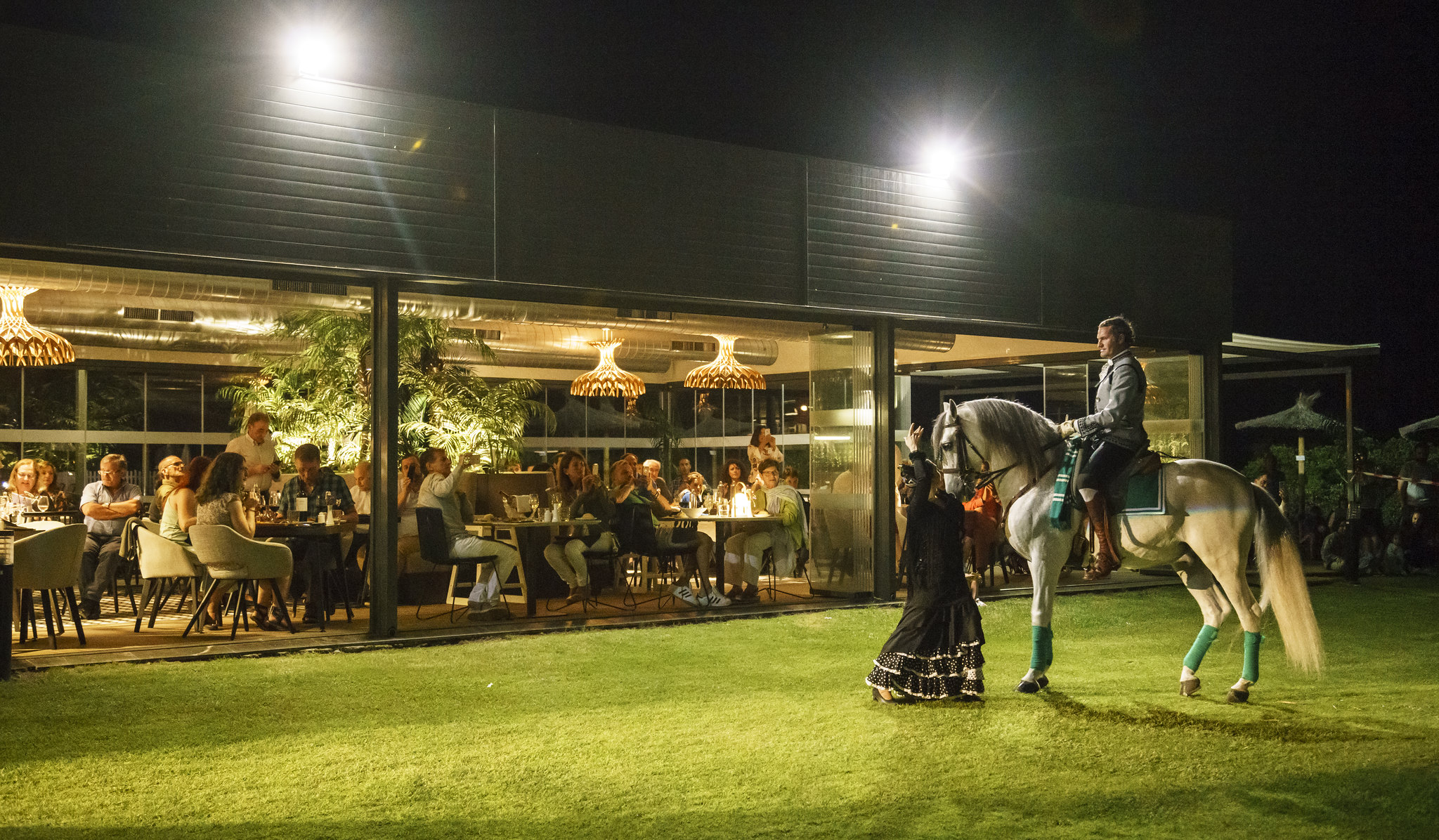 Sports and Entertainment