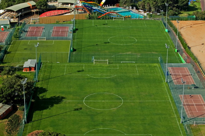 Sports and Entertainment