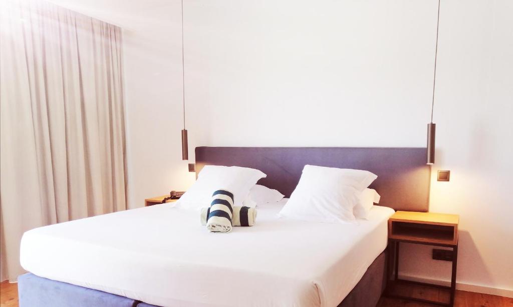 Double Mountain View