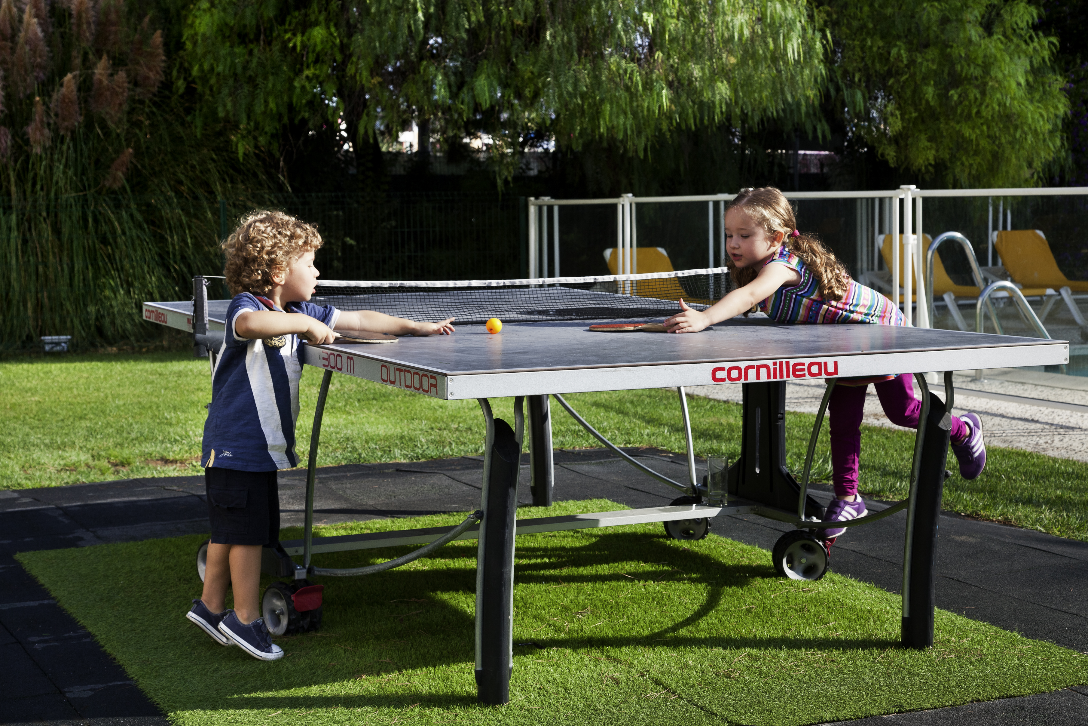 Sports and Entertainment