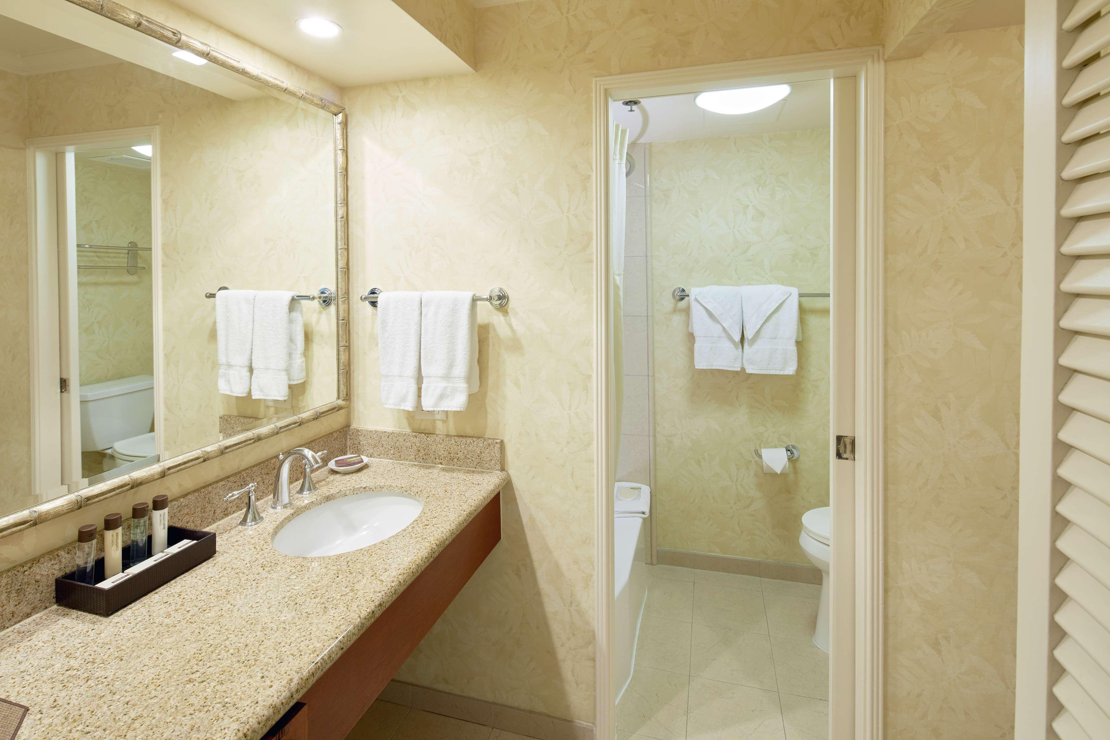 Double City View King Bed