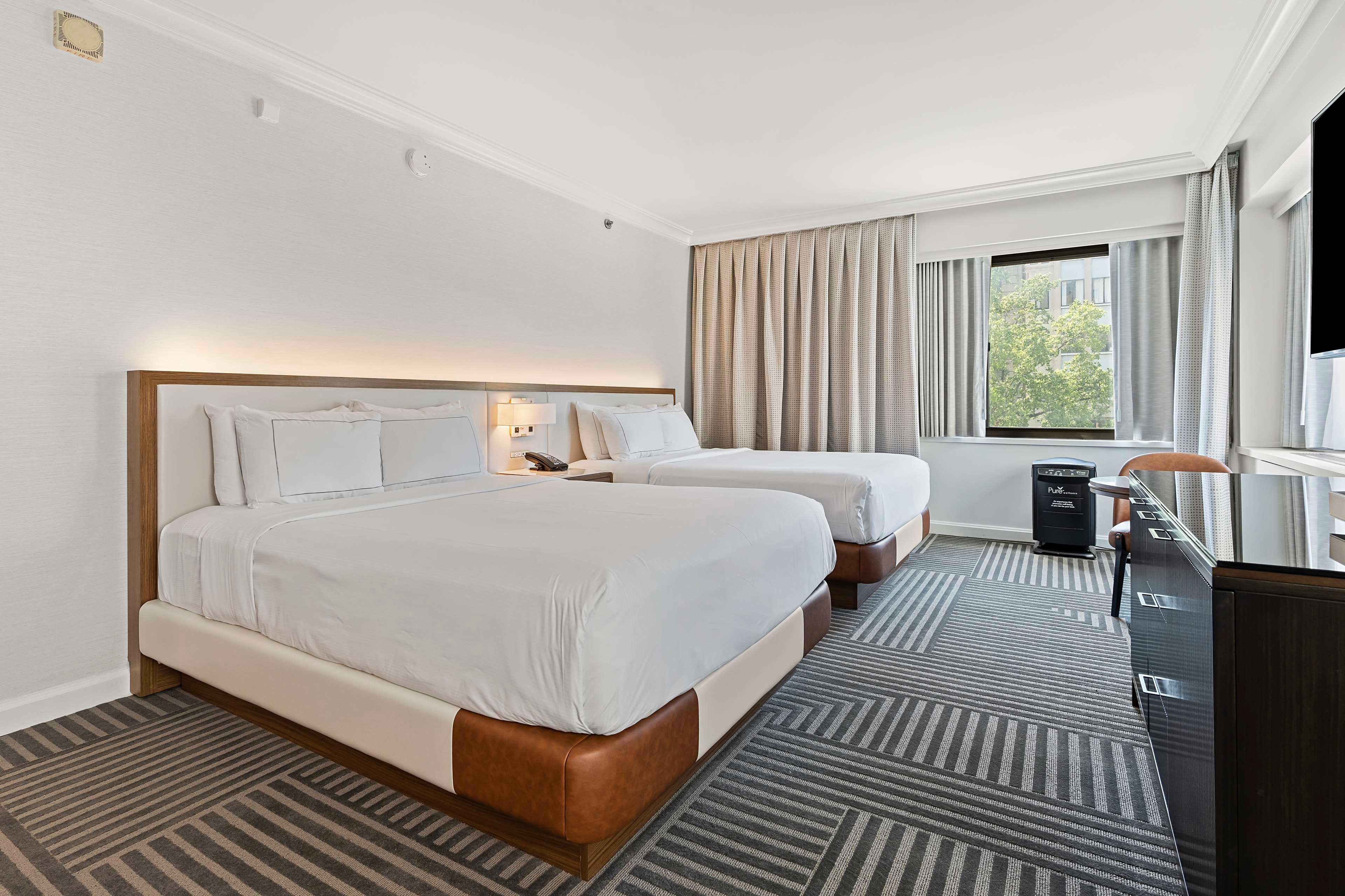 Double Two Queen Beds