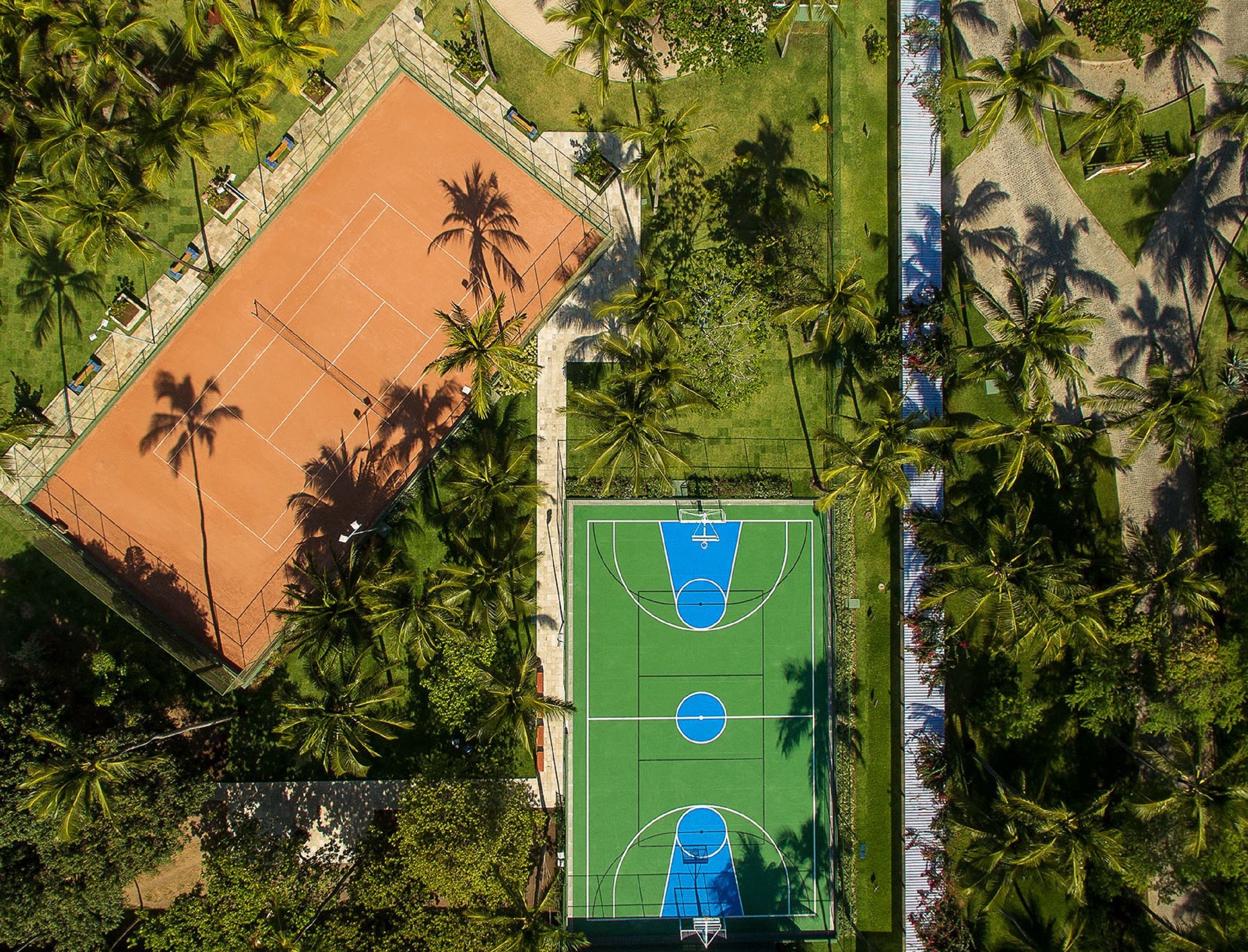 Sports and Entertainment