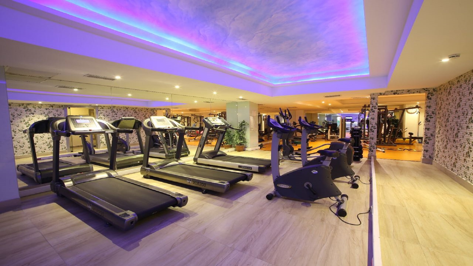 Sports and Entertainment