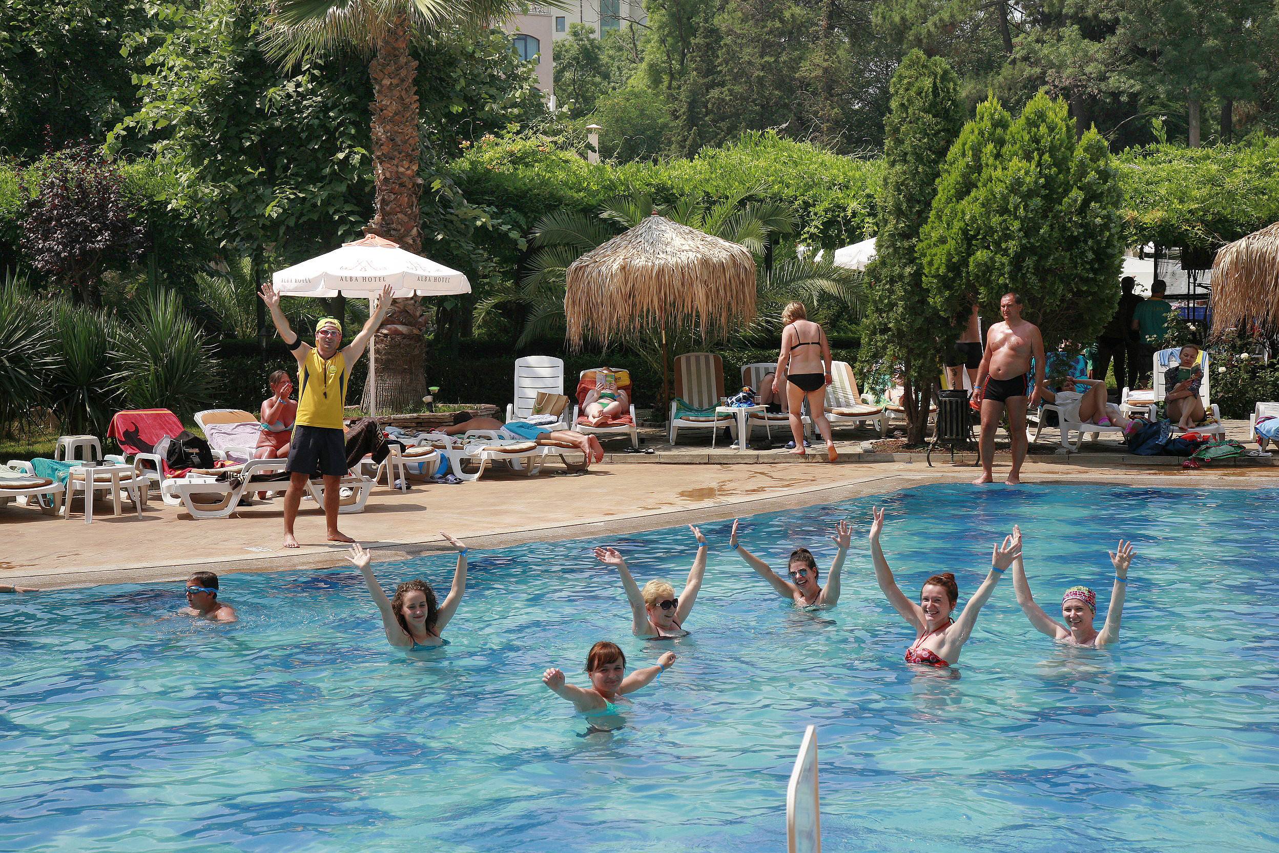 Sports and Entertainment