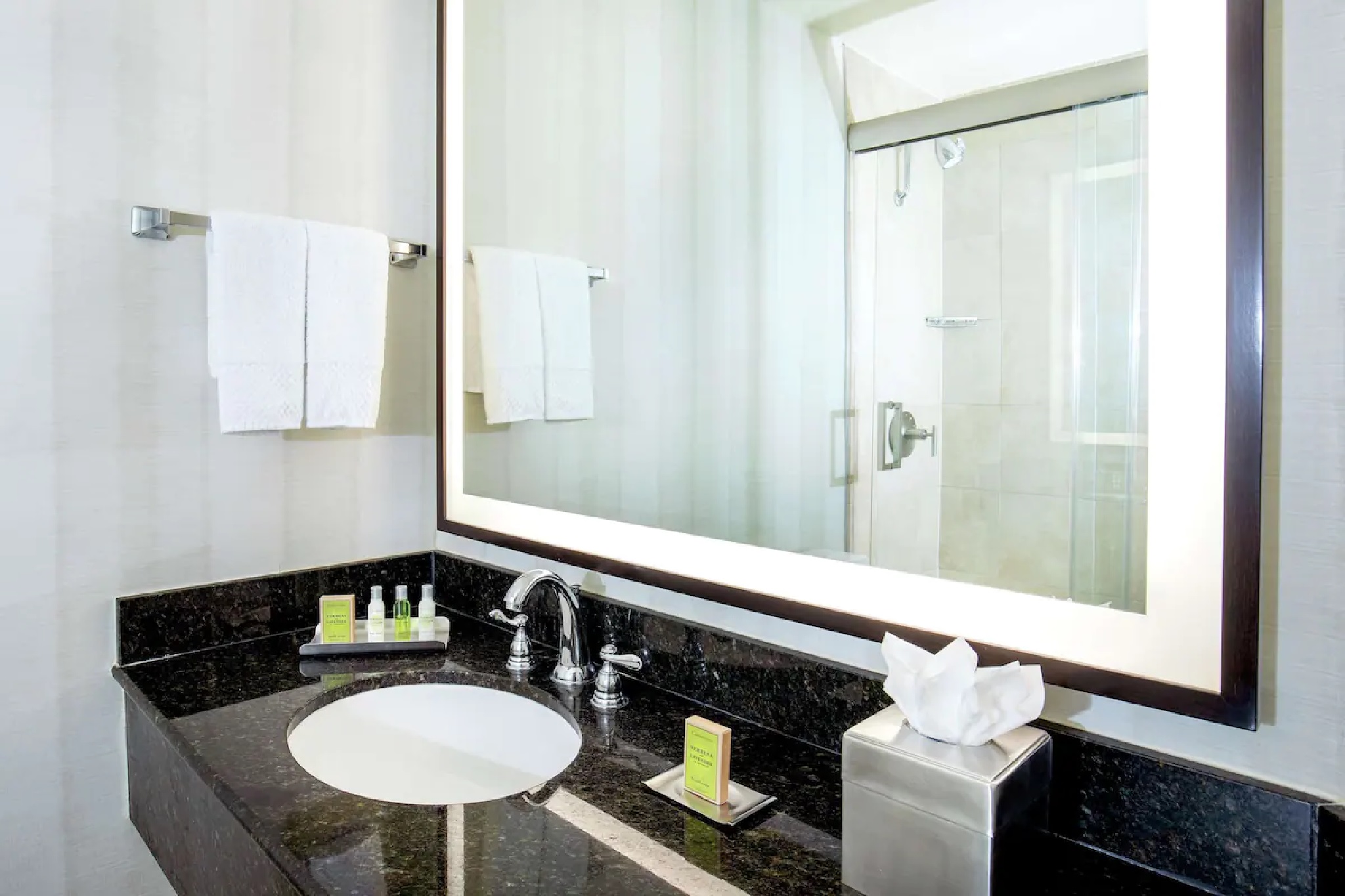 Suite Accessible King Size Bed