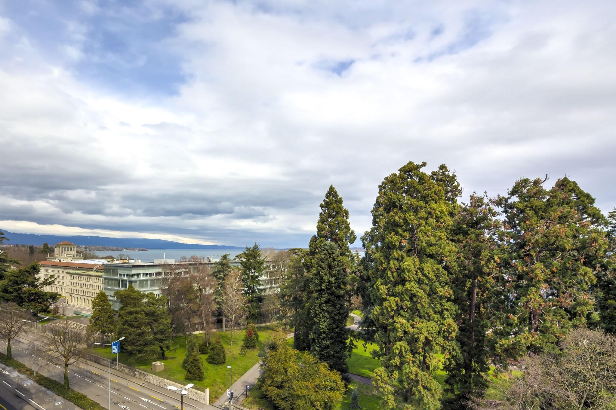 Double Superior Queen Bed