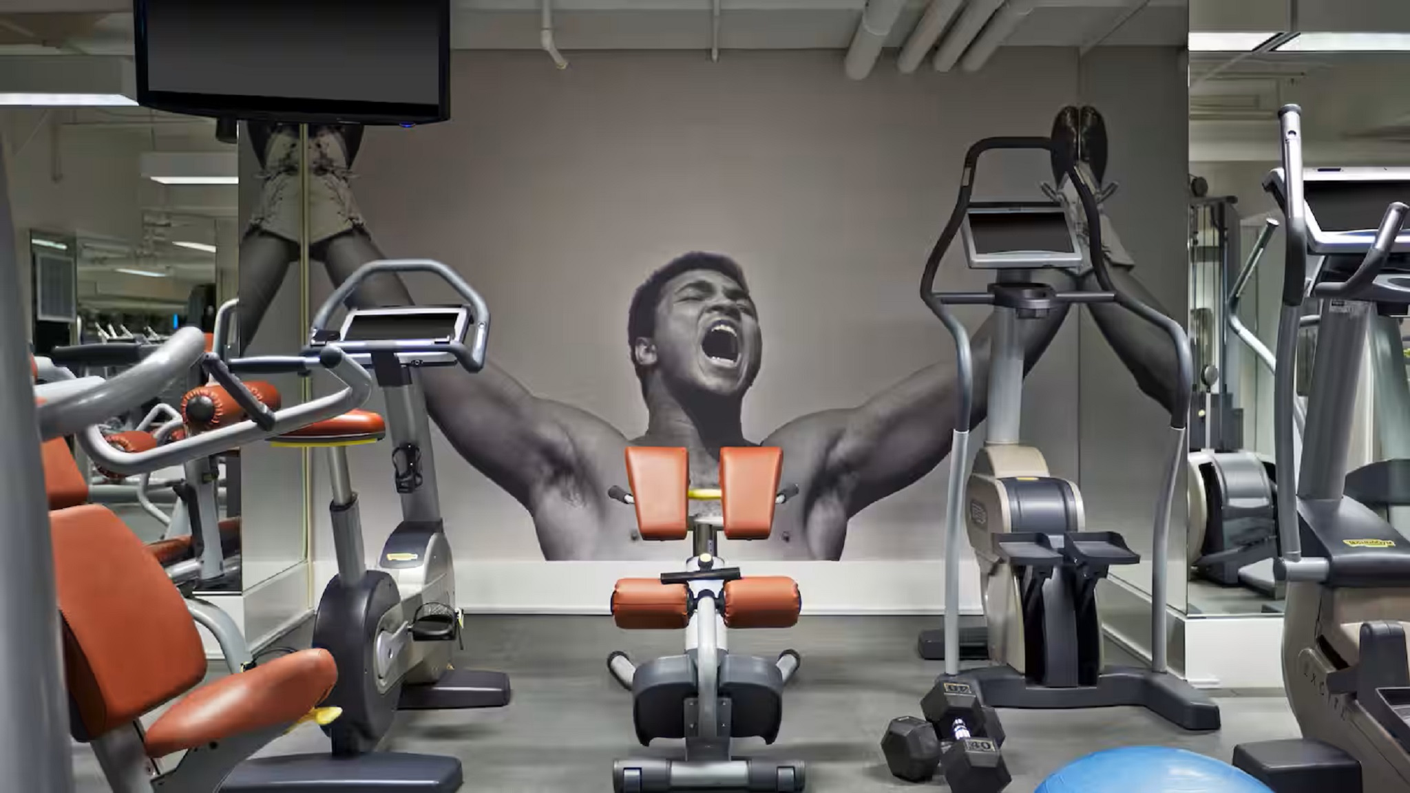 Sports and Entertainment