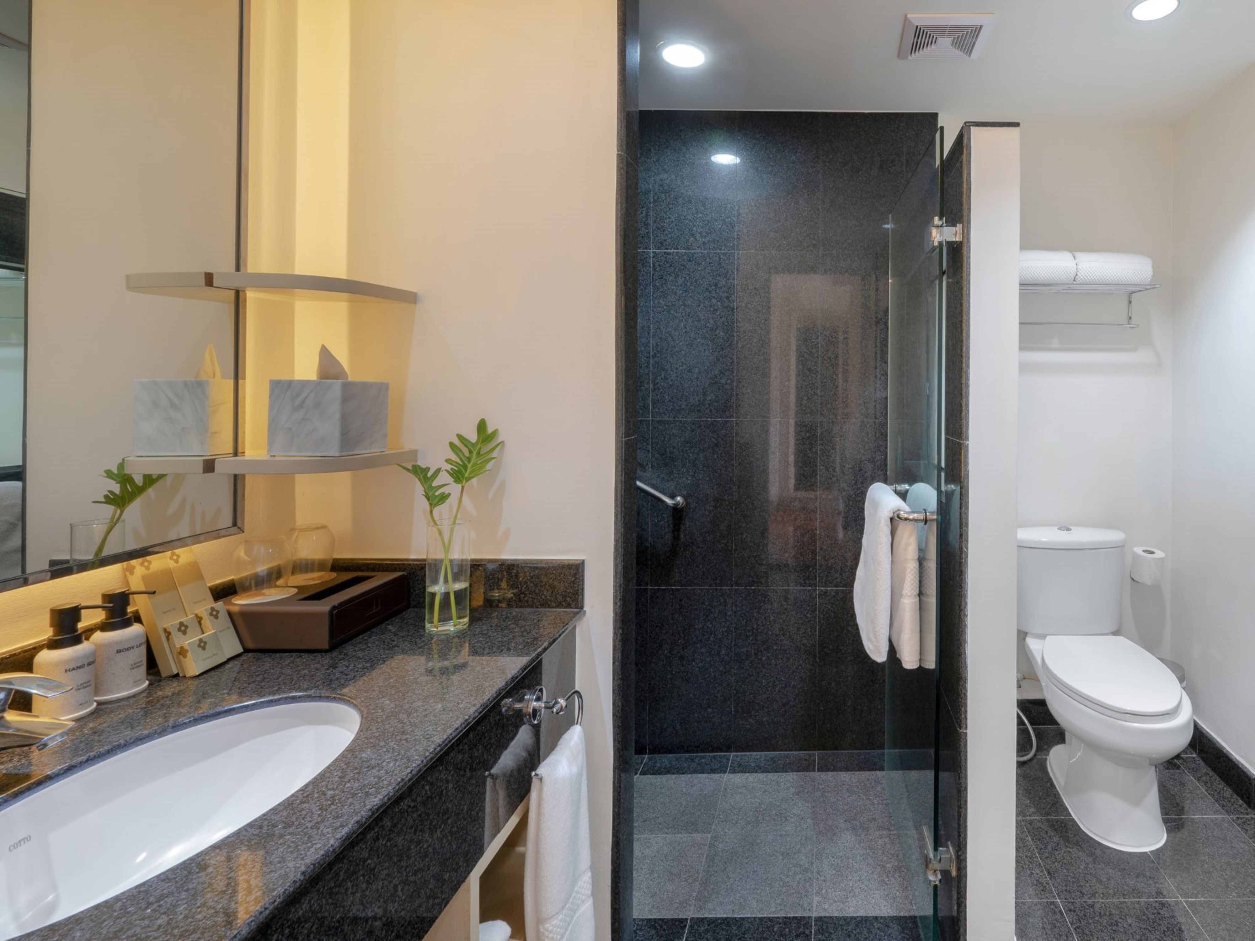 Double or Twin Superior